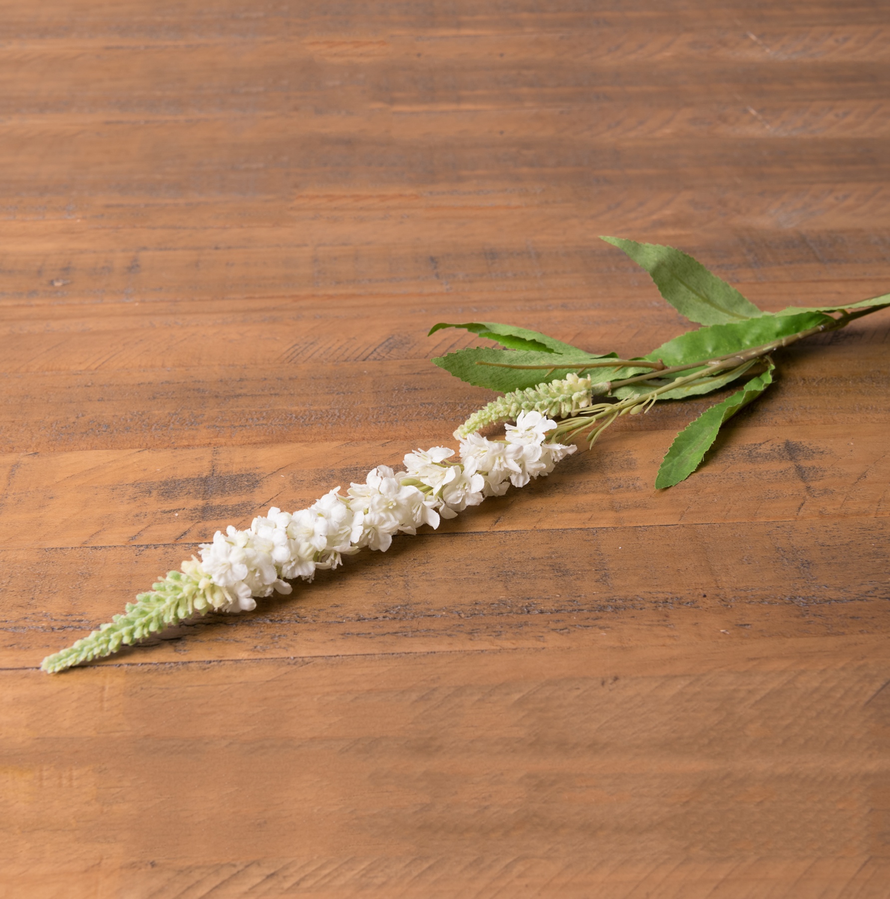 White Veronica Stem - Image 8