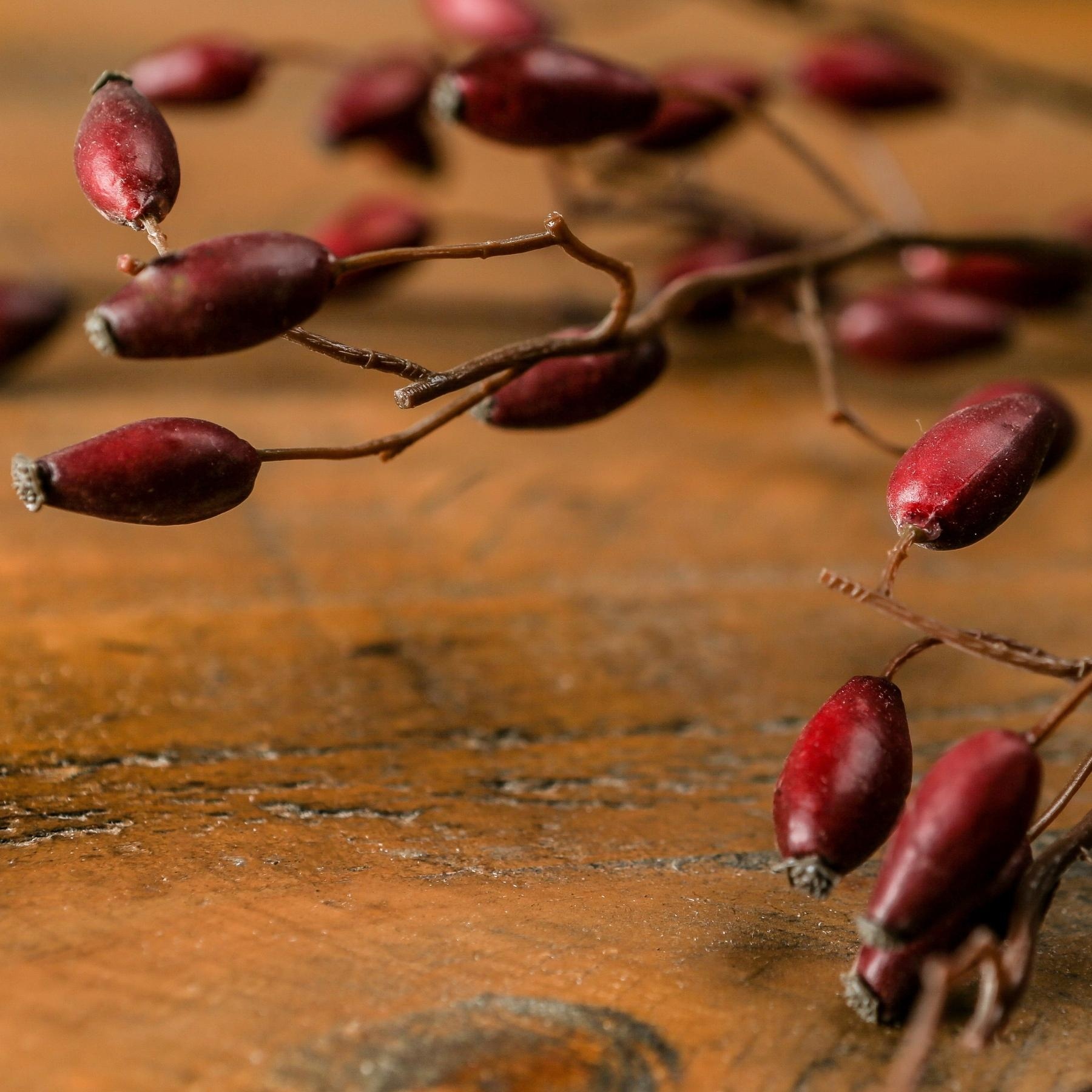 Burgundy Rosehip Stem - Image 2