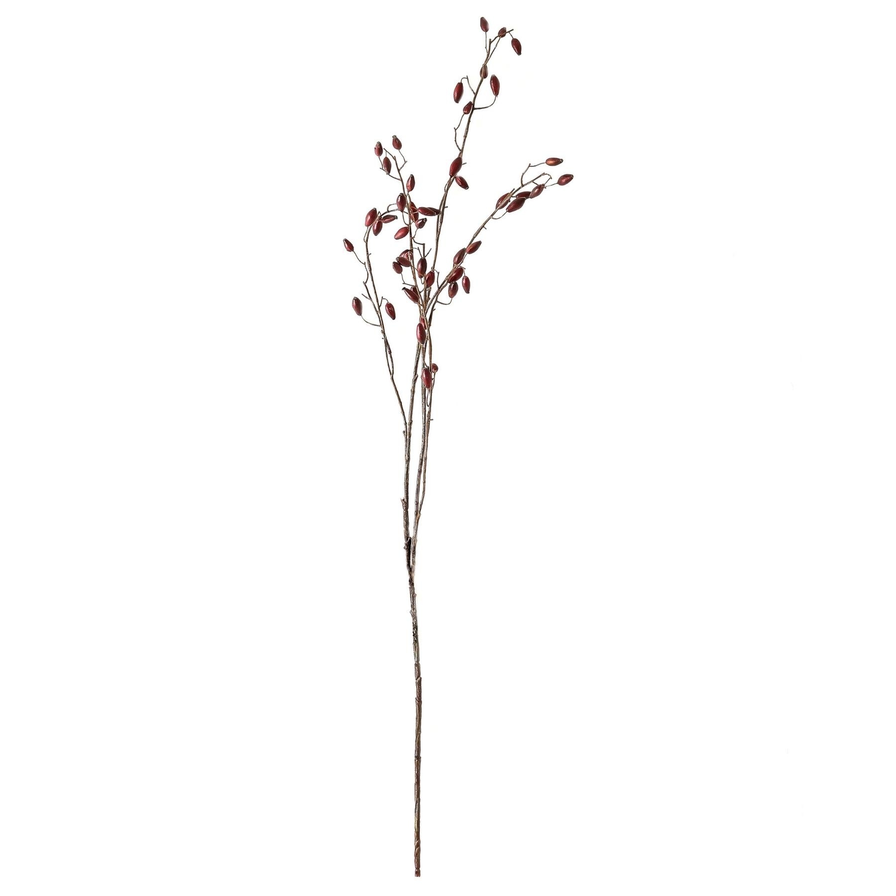 Burgundy Rosehip Stem | Wholesale by Hill Interiors