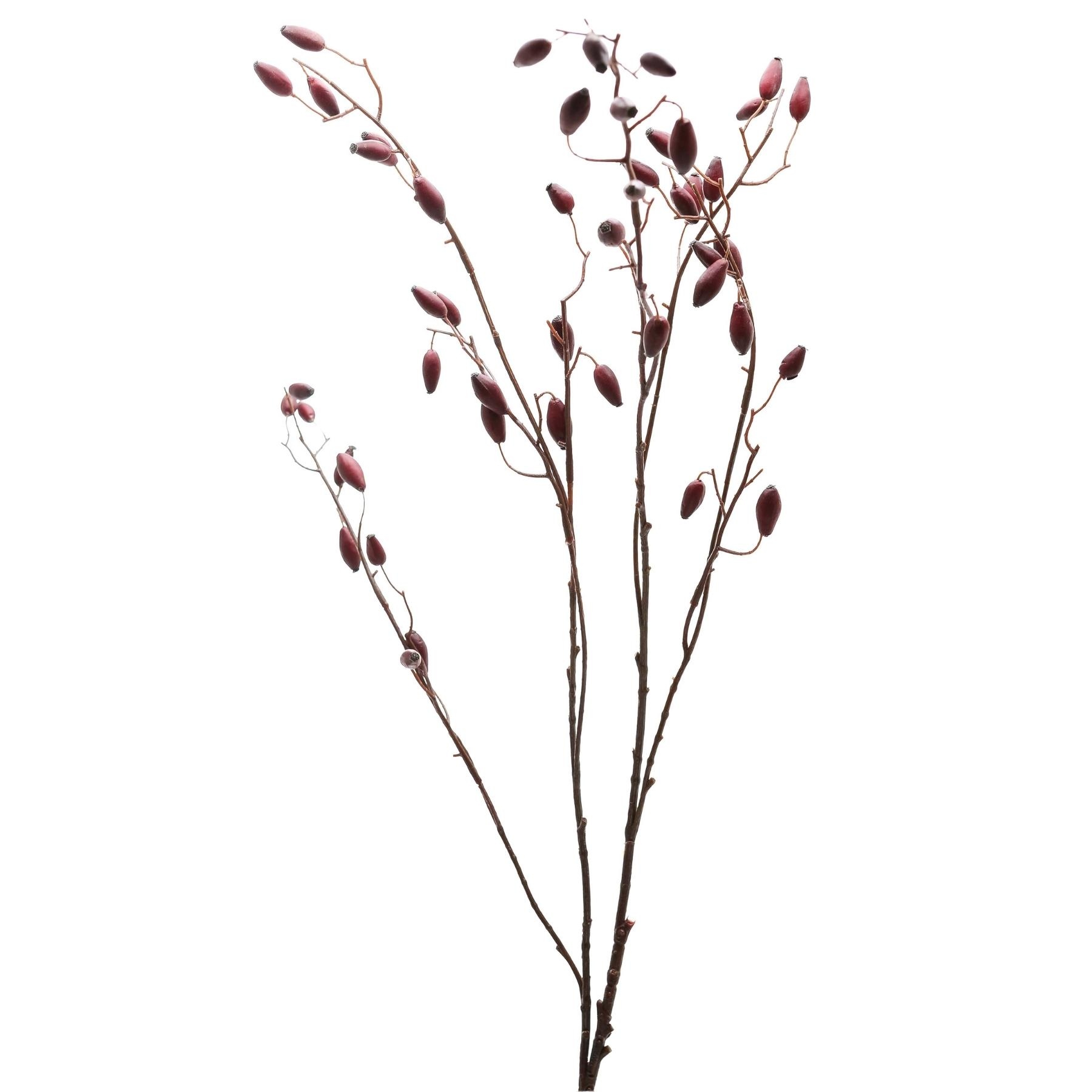 Burgundy Rosehip Stem - Image 4