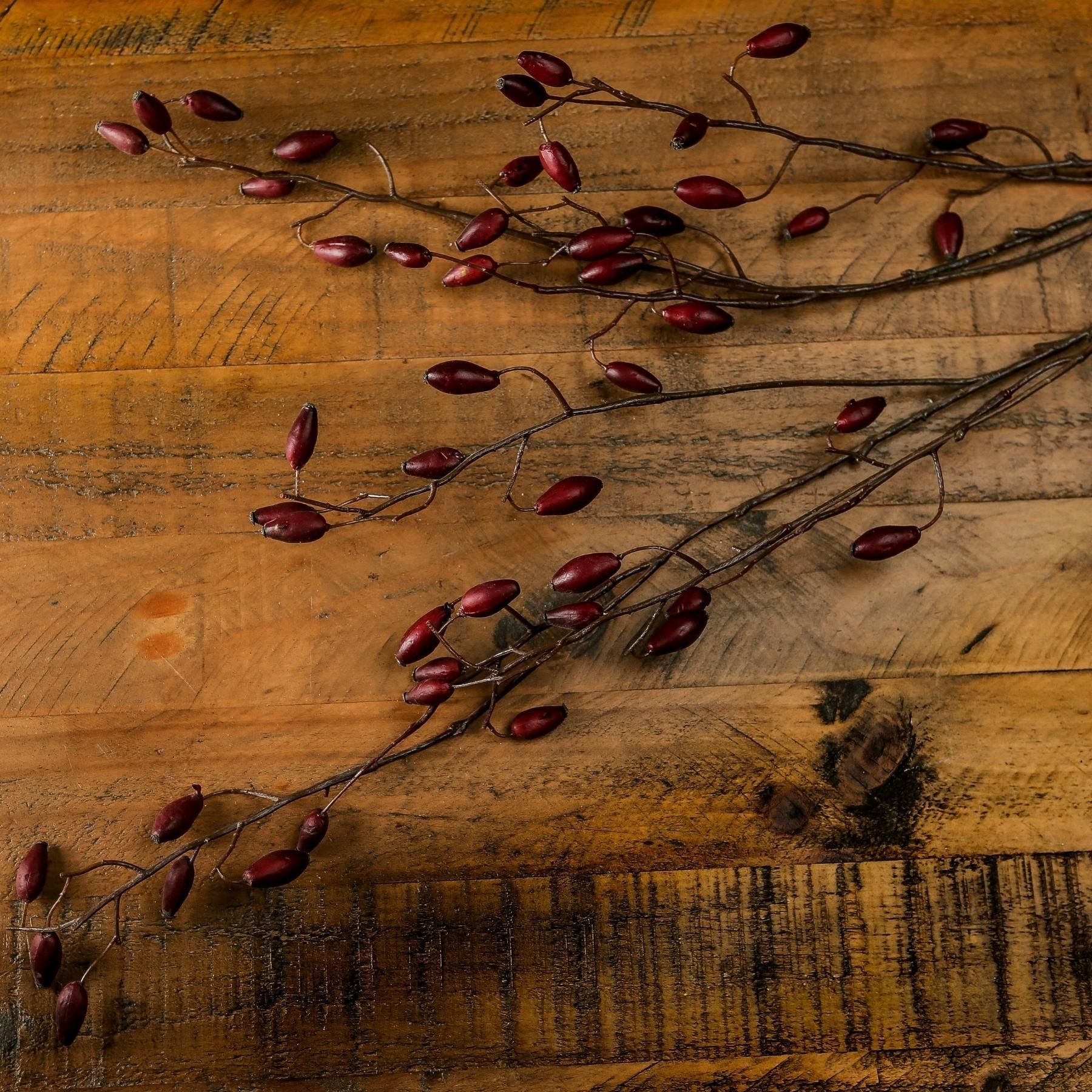 Burgundy Rosehip Stem - Image 1