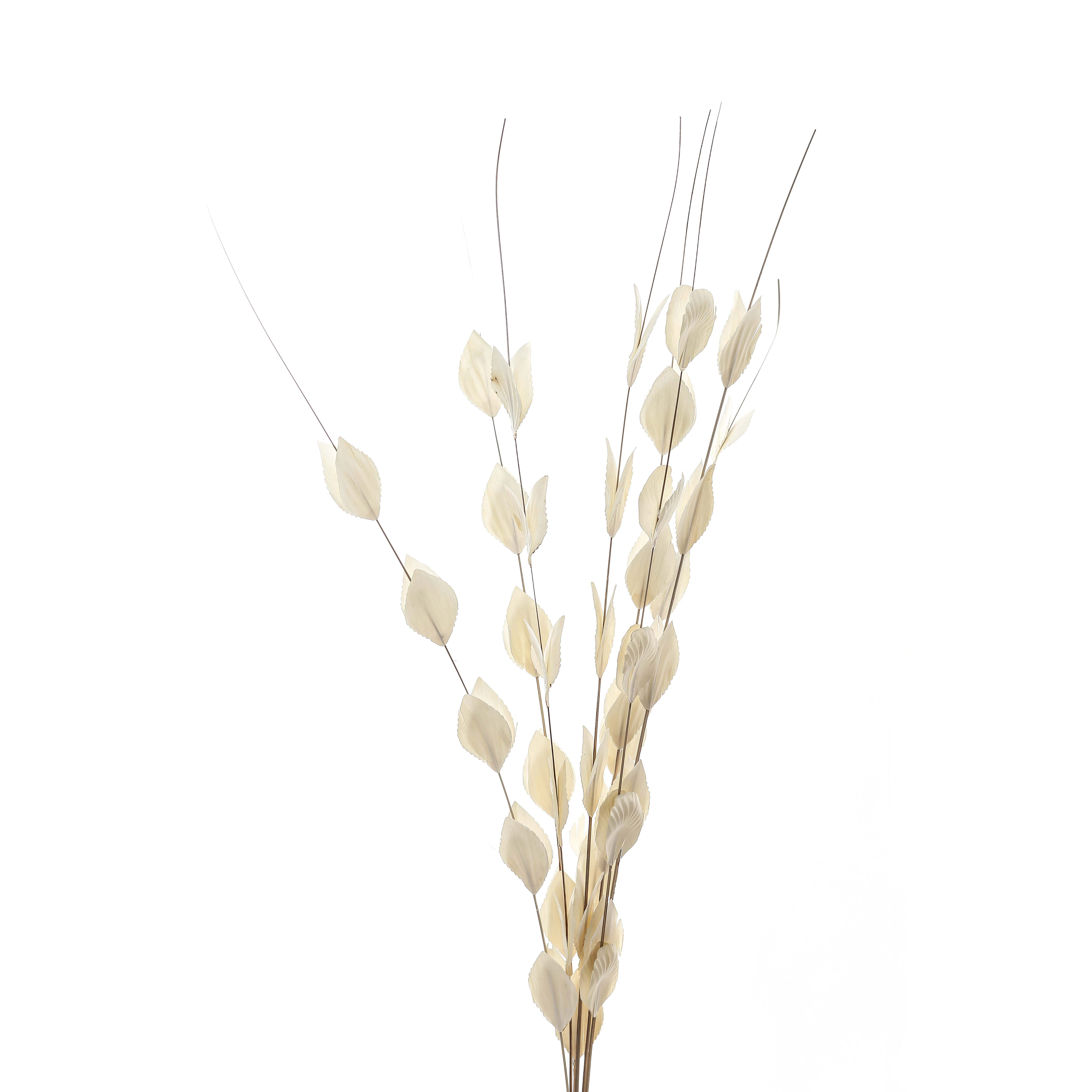 Bouquet Of Dried  Thlaspi Arvense - Image 2