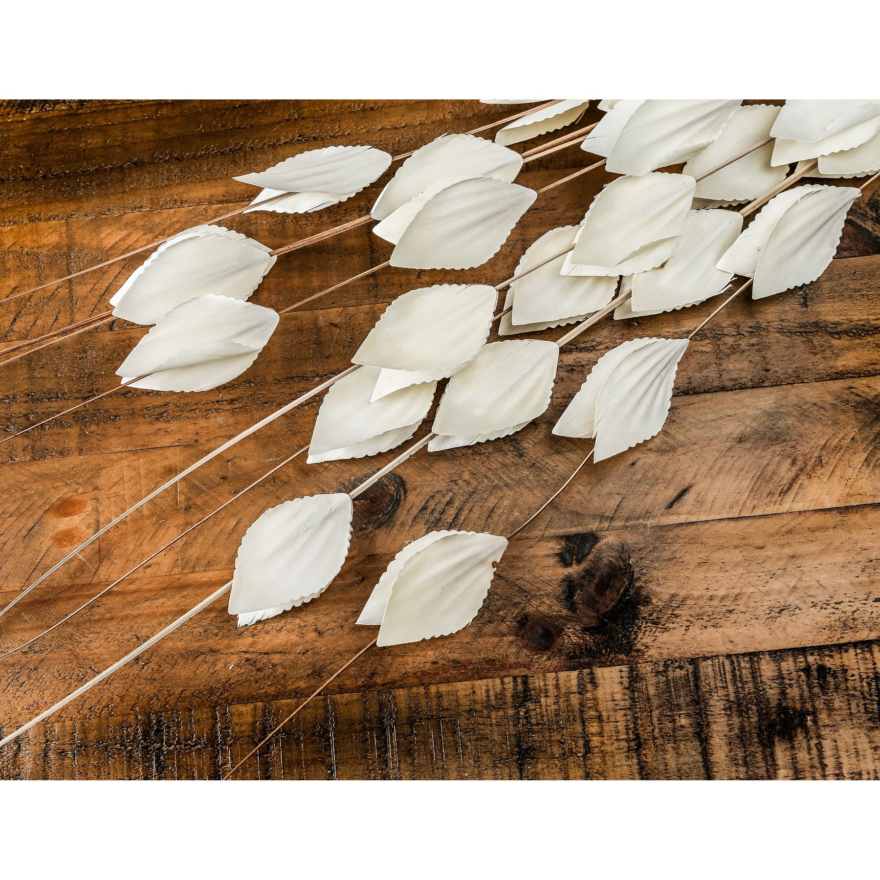 Bouquet Of Dried  Thlaspi Arvense - Image 3