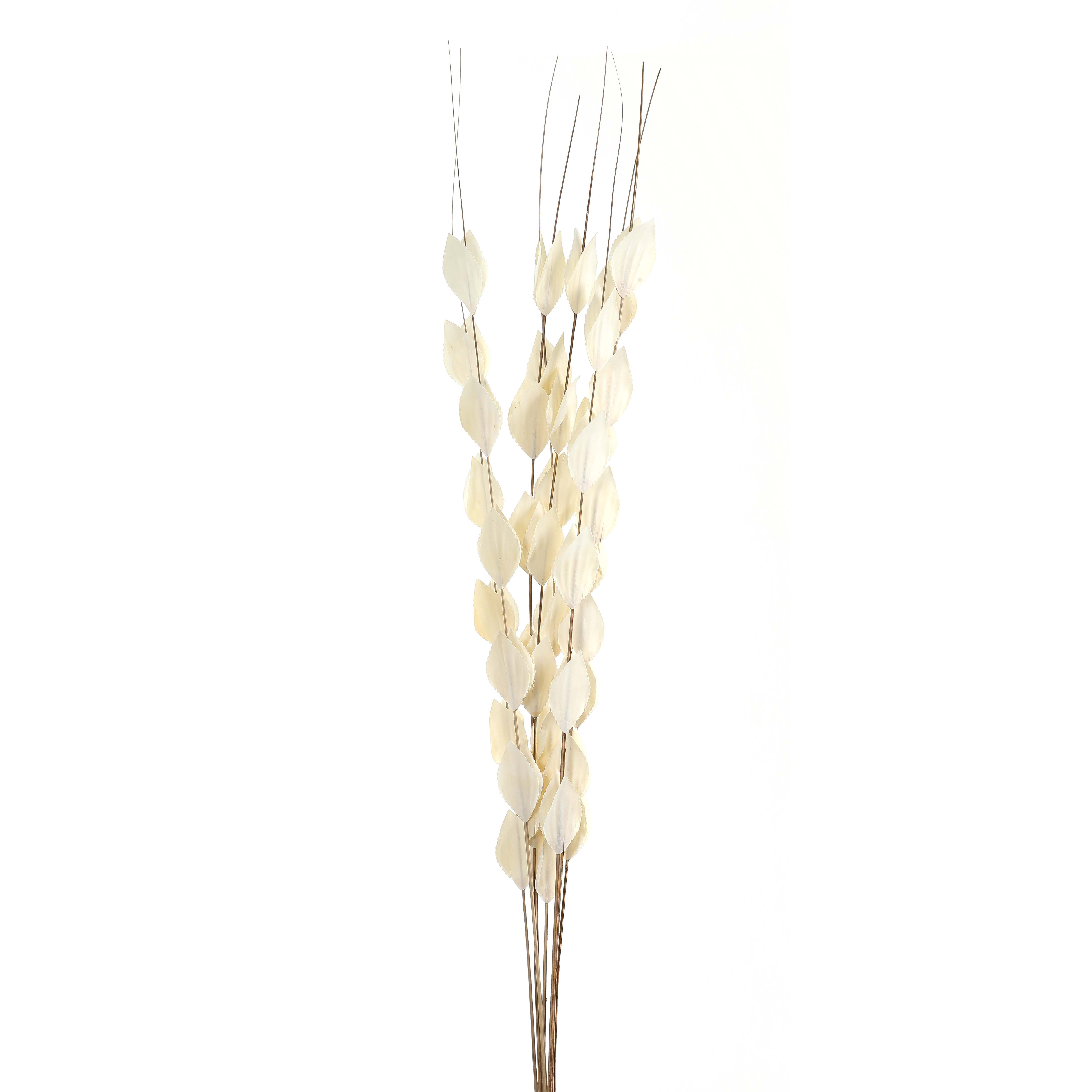 Bouquet Of Dried  Thlaspi Arvense - Image 1