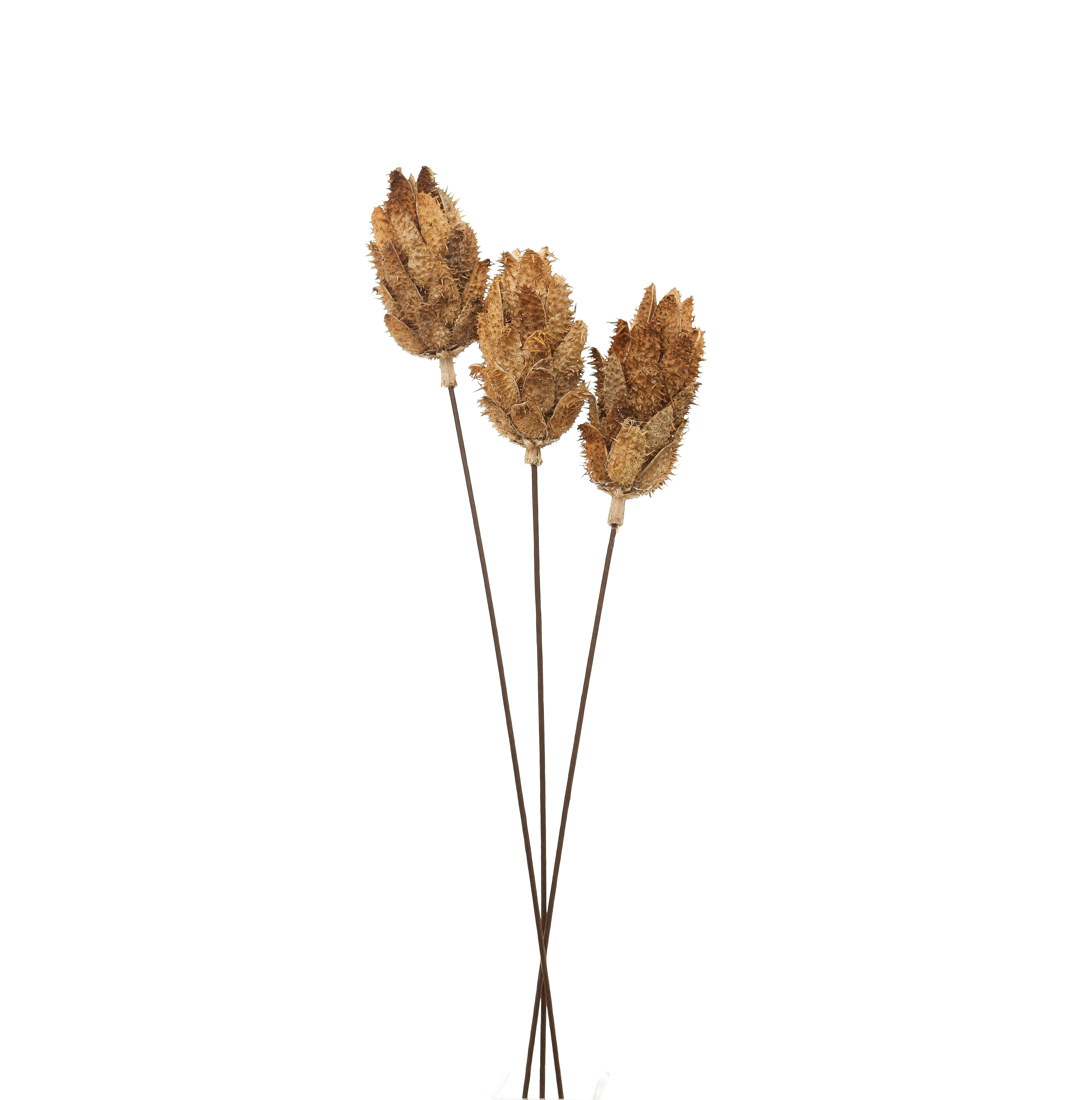 Bouquet Of Dried Protea - Image 1