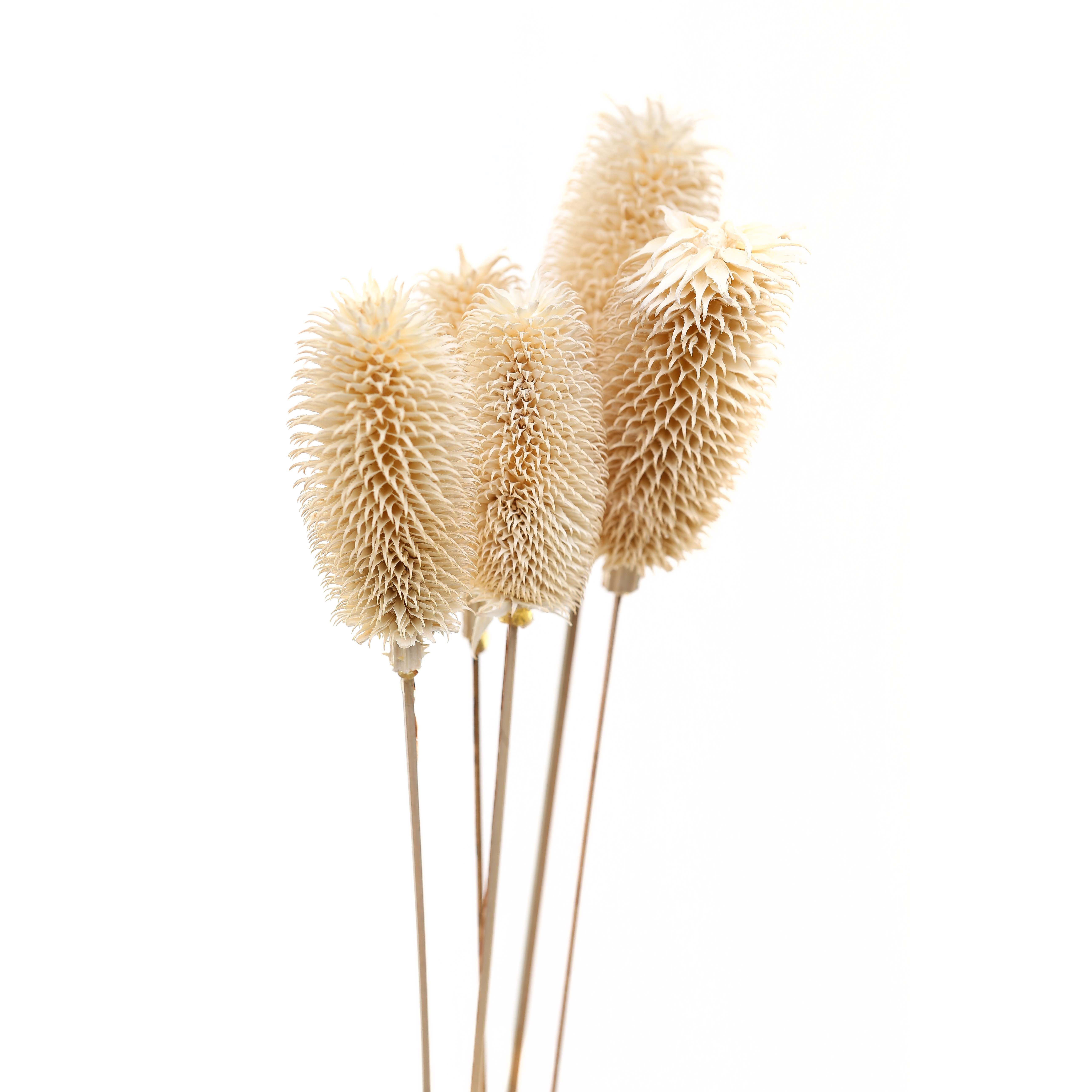 Bouquet Of Dried Tall Thistle - Image 2