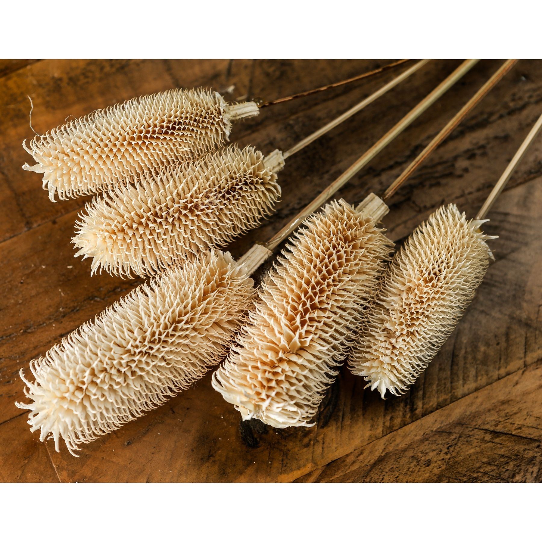 Bouquet Of Dried Tall Thistle - Image 3