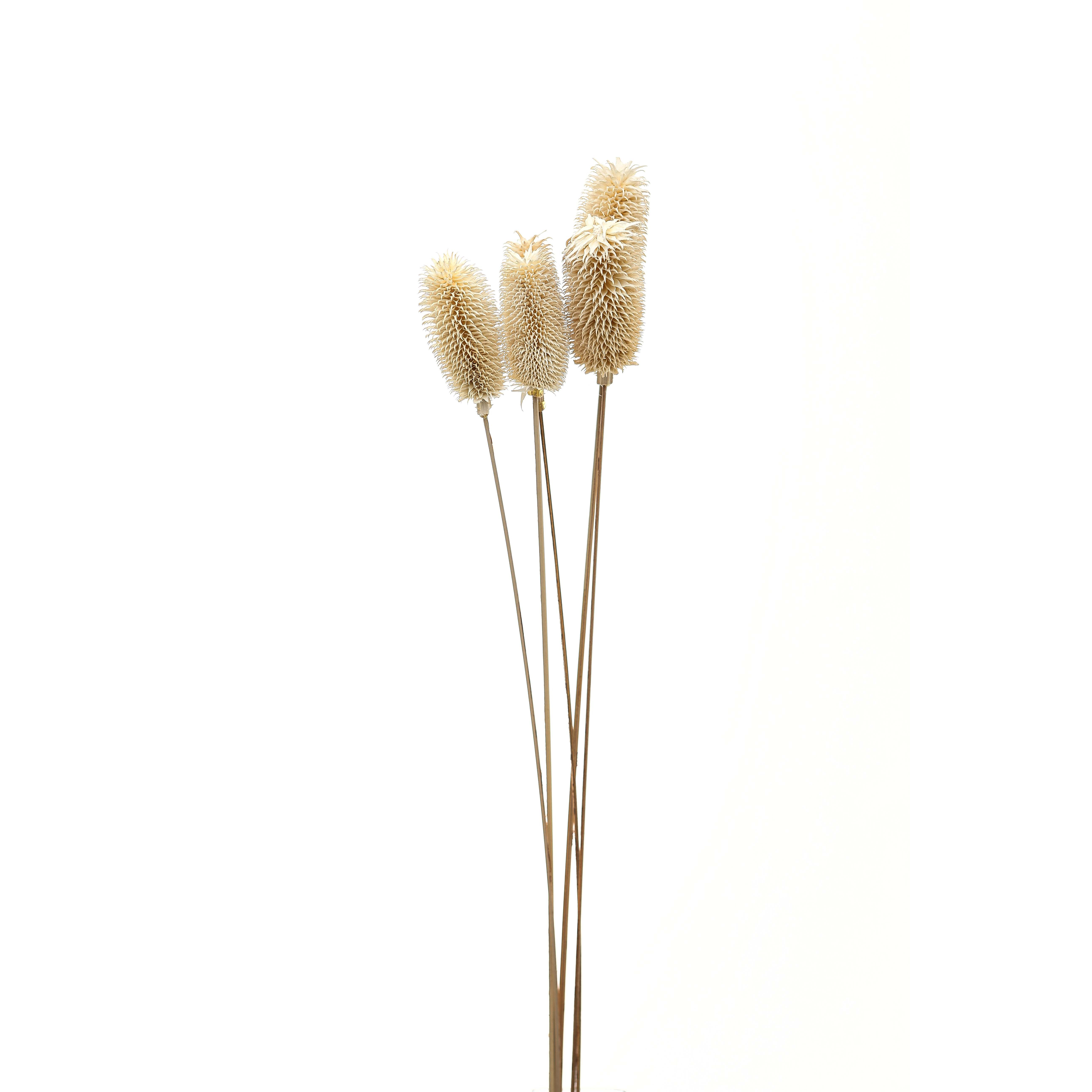 Bouquet Of Dried Tall Thistle - Image 1