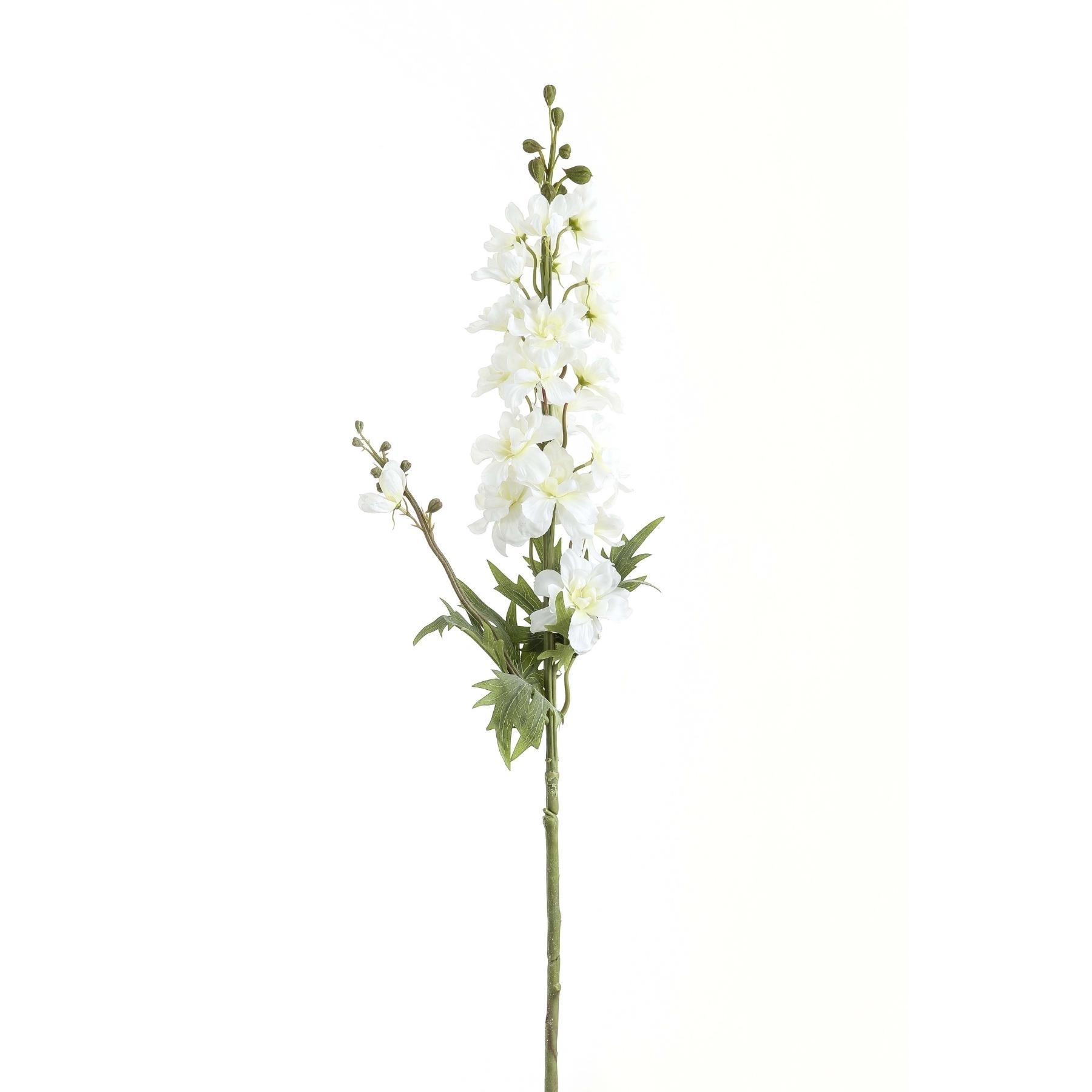 Tall White Delphinium Stem