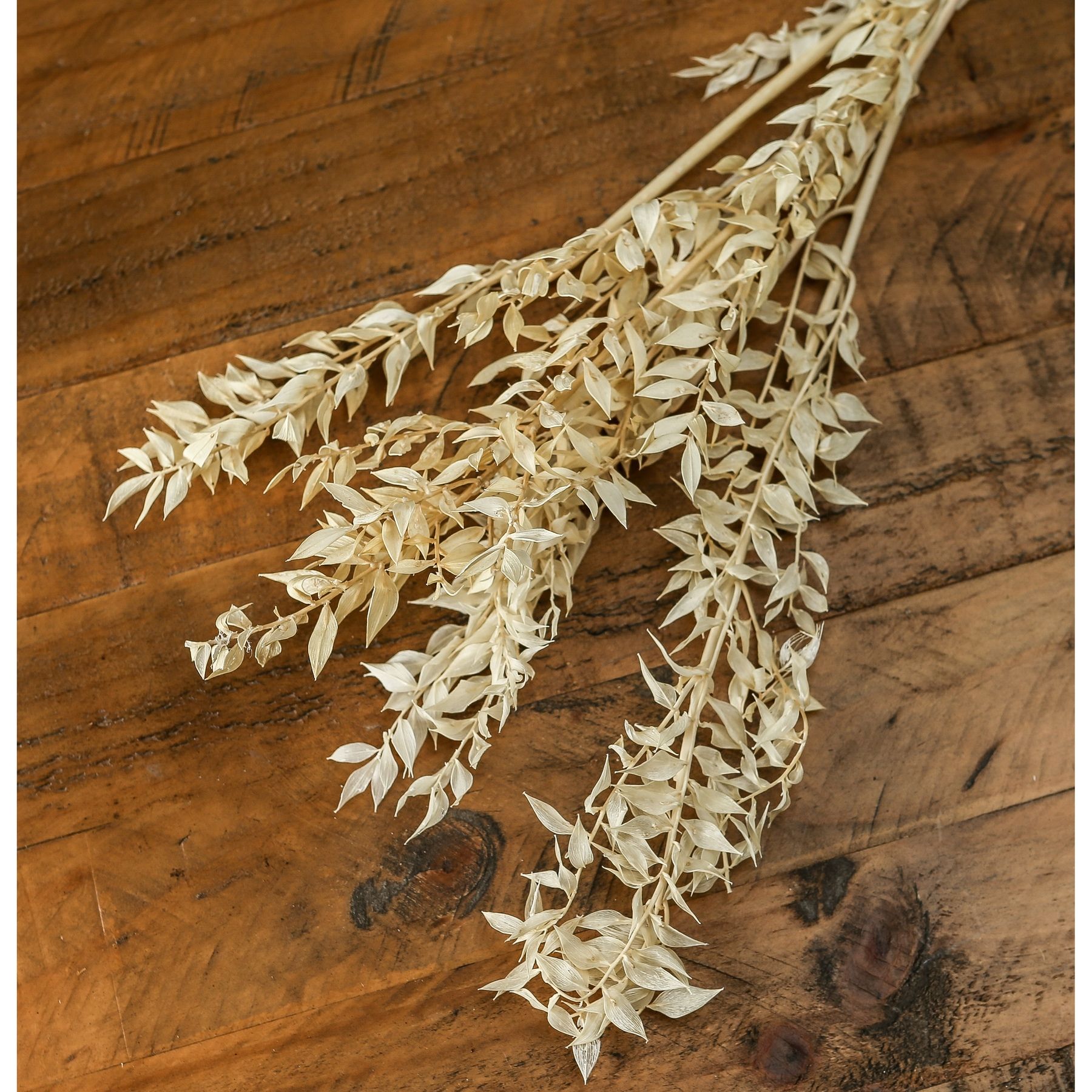 Bouquet Of Dried Avena - Image 3