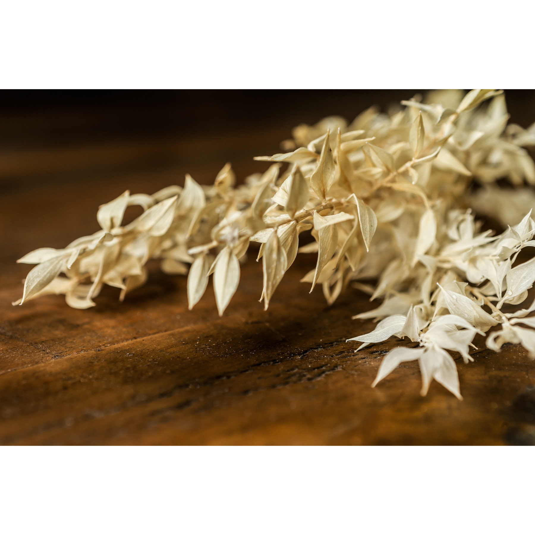 Bouquet Of Dried Avena - Image 4
