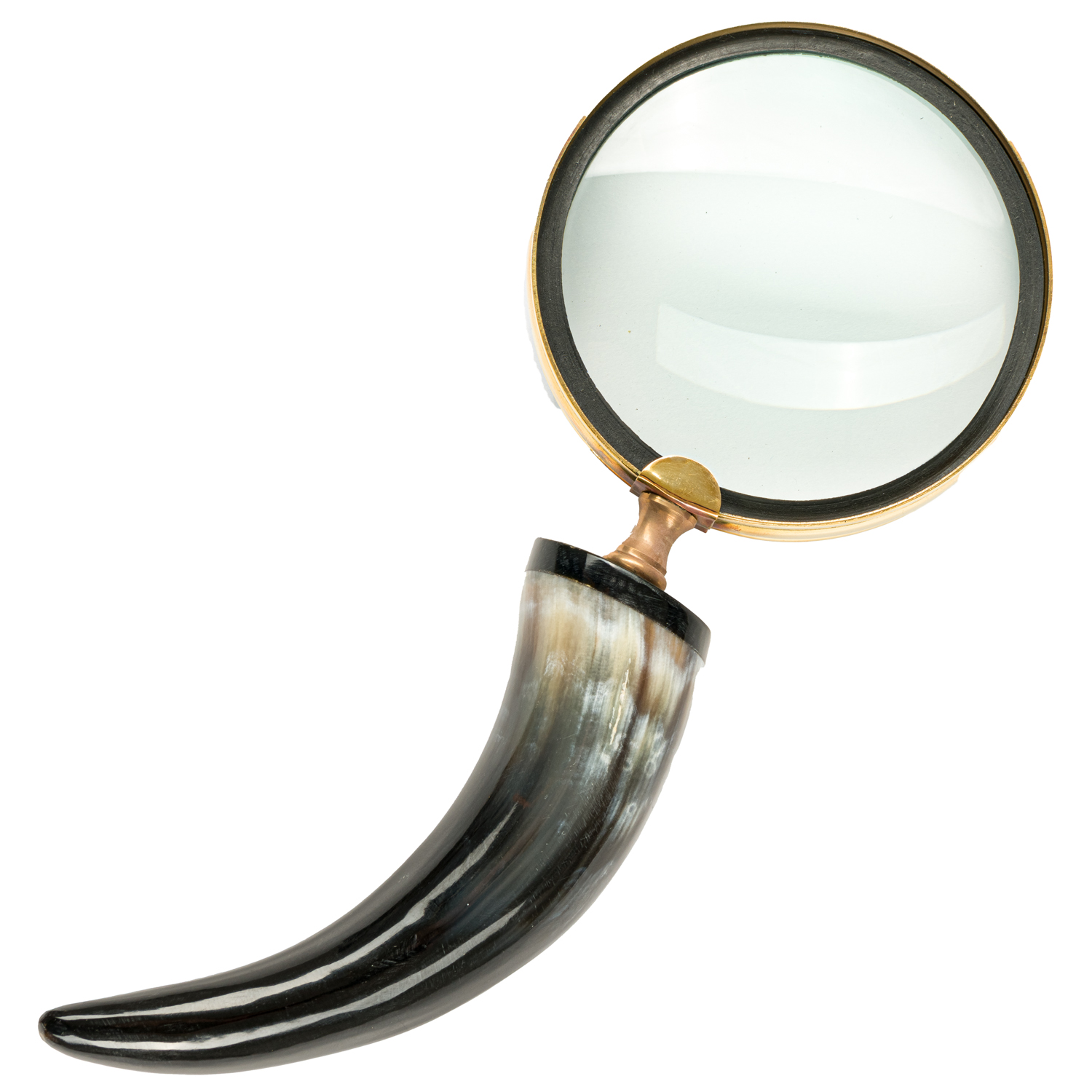 Horn And Brass Magifying Glass - Image 1