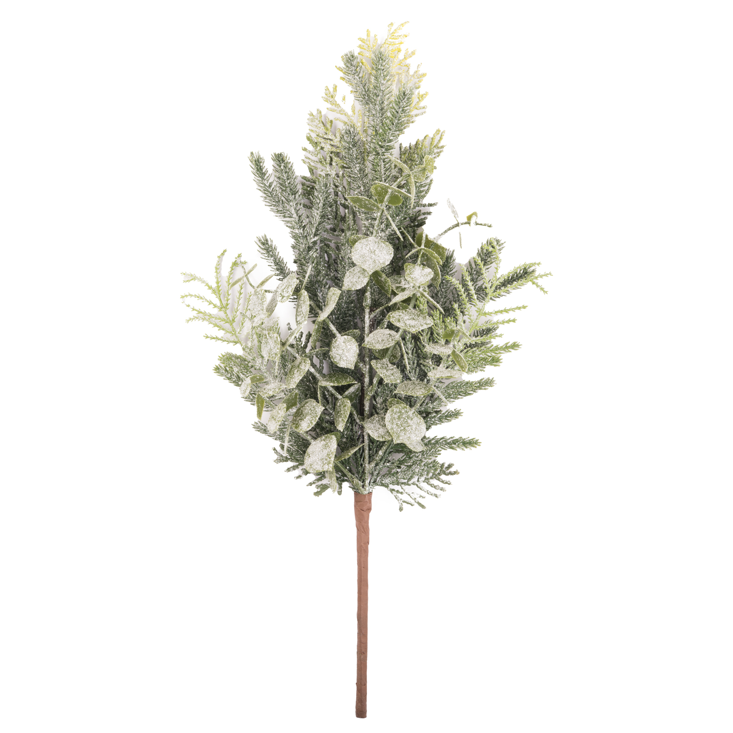 Frosted Eucalyptus And Fern Sprig - Image 1