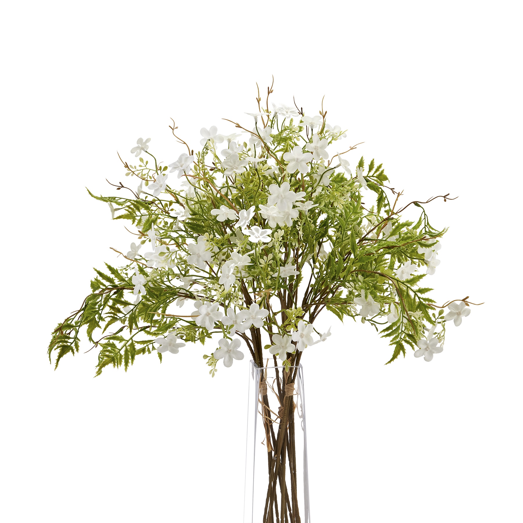 Italian White Bellflower - Image 1