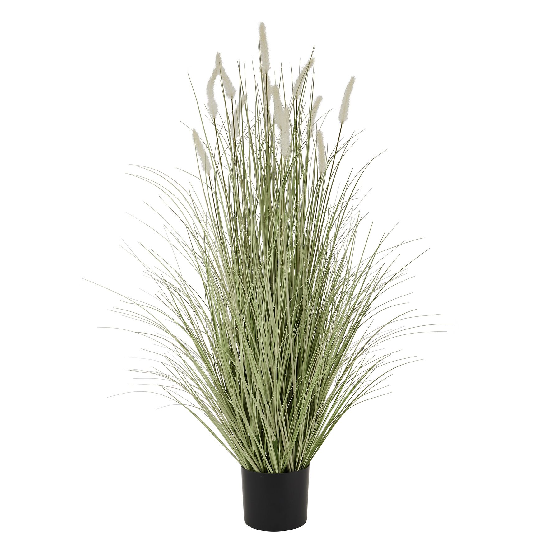 Large Bunny Tail Grass - Image 1