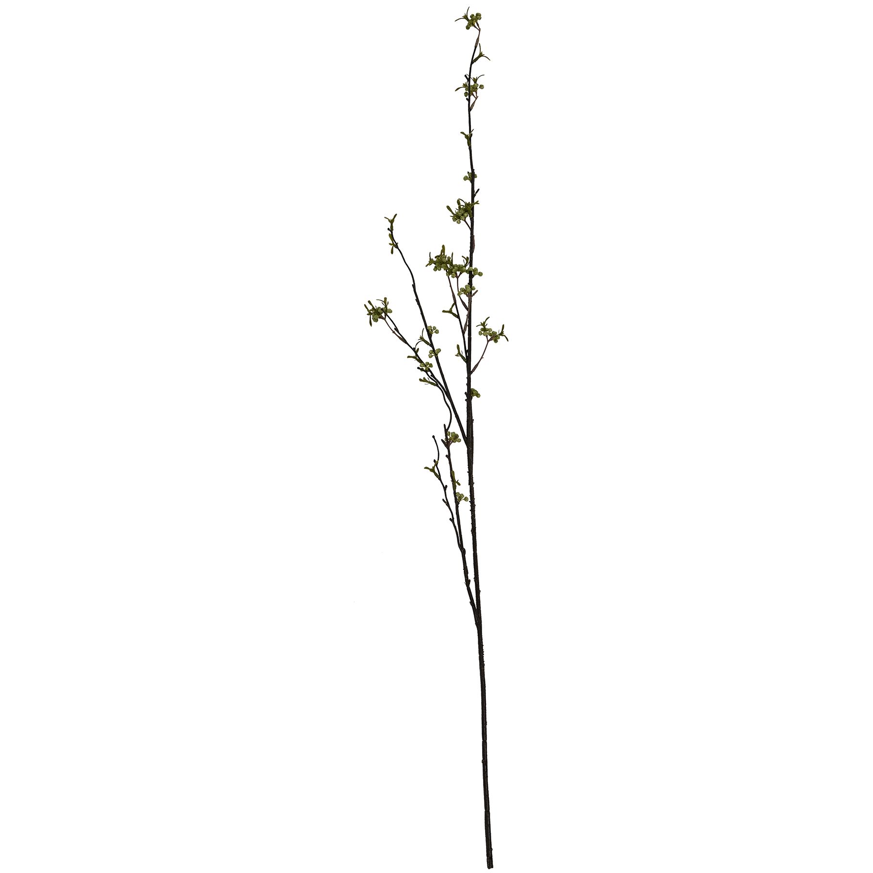 Green Berry Willow Stem - Image 4