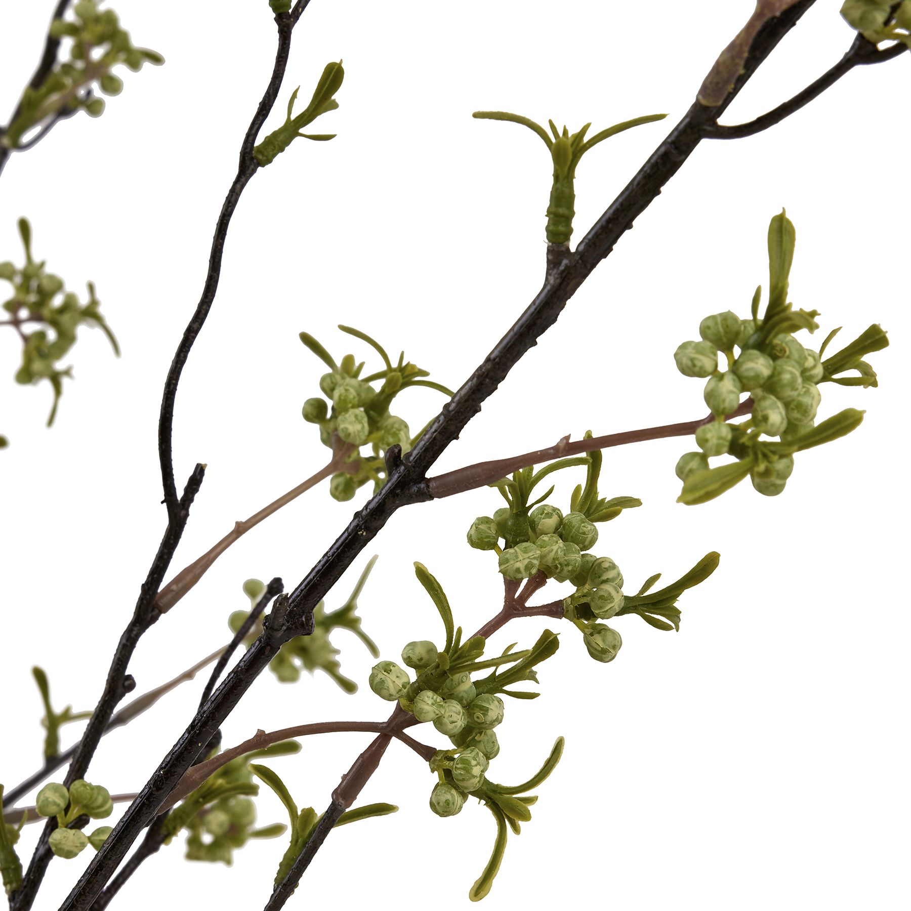 Green Berry Willow Stem - Image 6