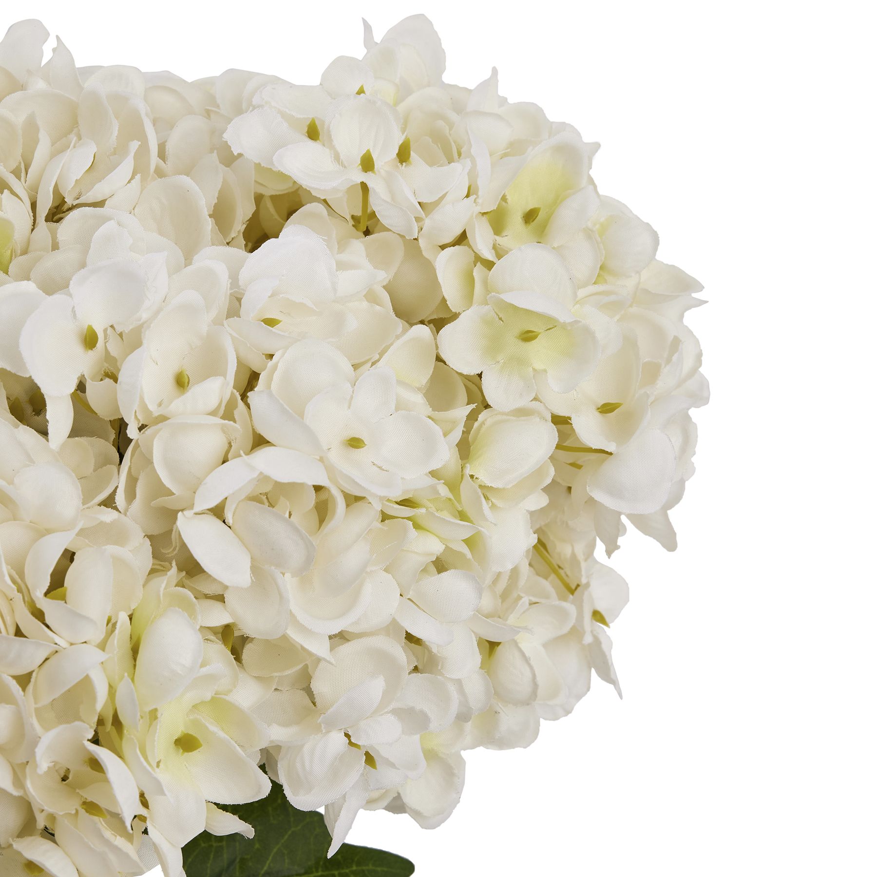 White Hydrangea Bunch - Image 6