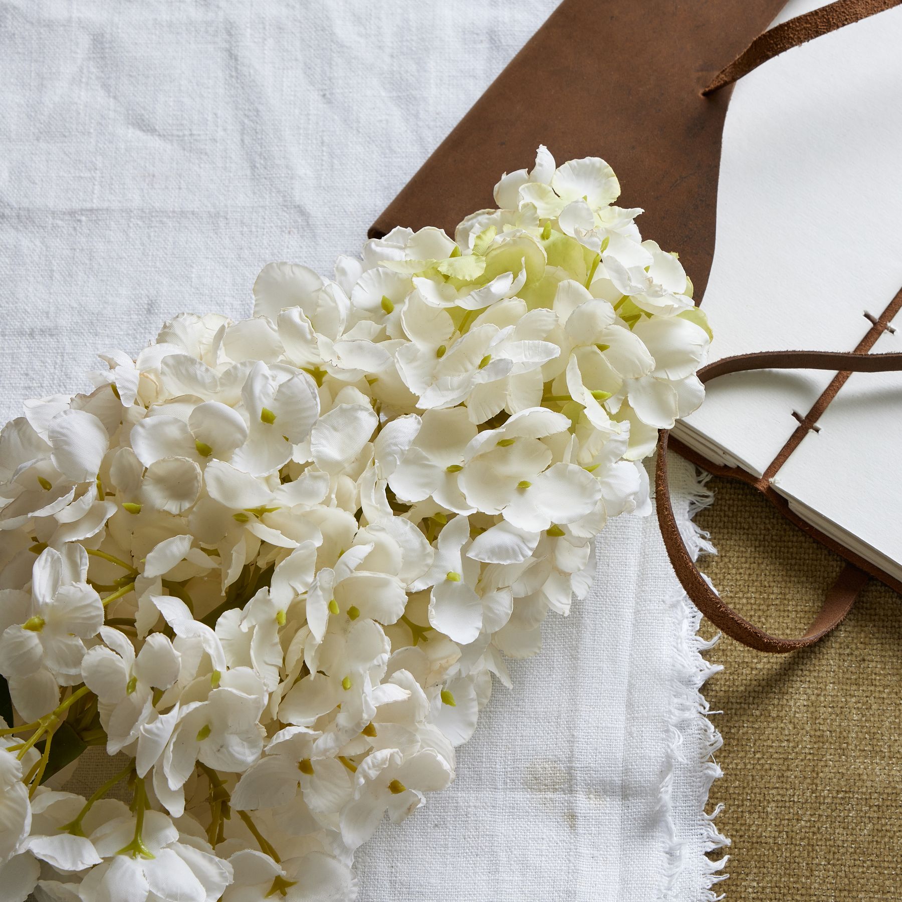 White  Spear Hydrangea - Image 2