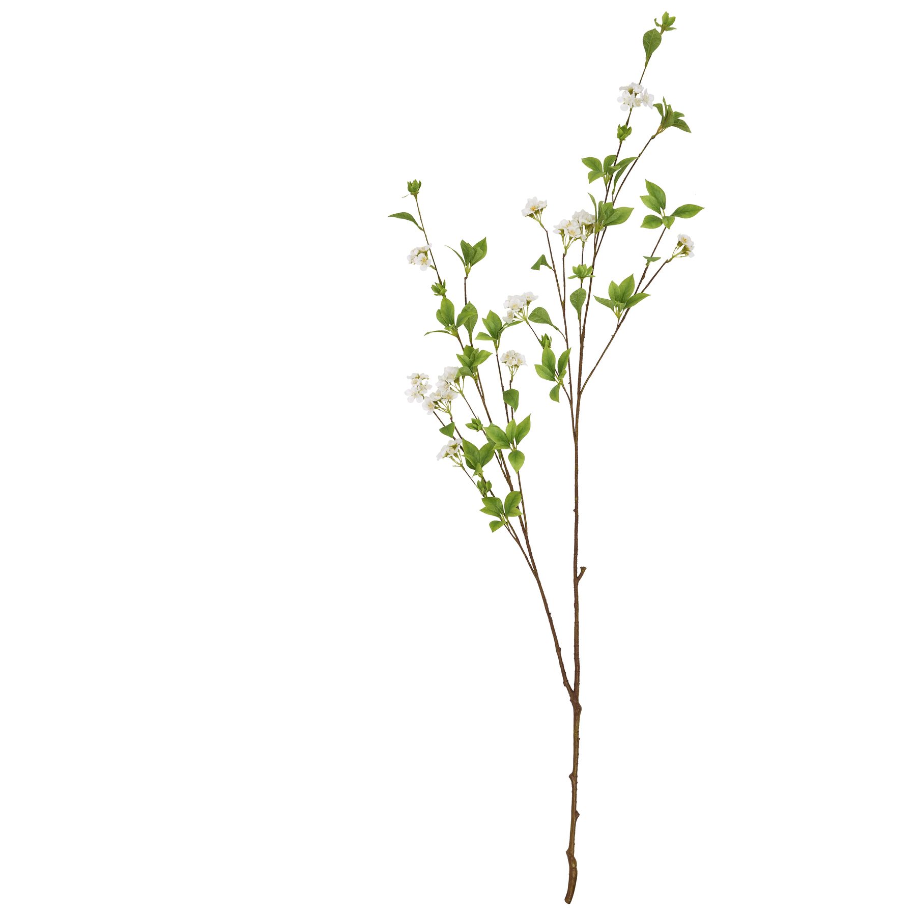 Tall Mock Orange Spray - Image 4