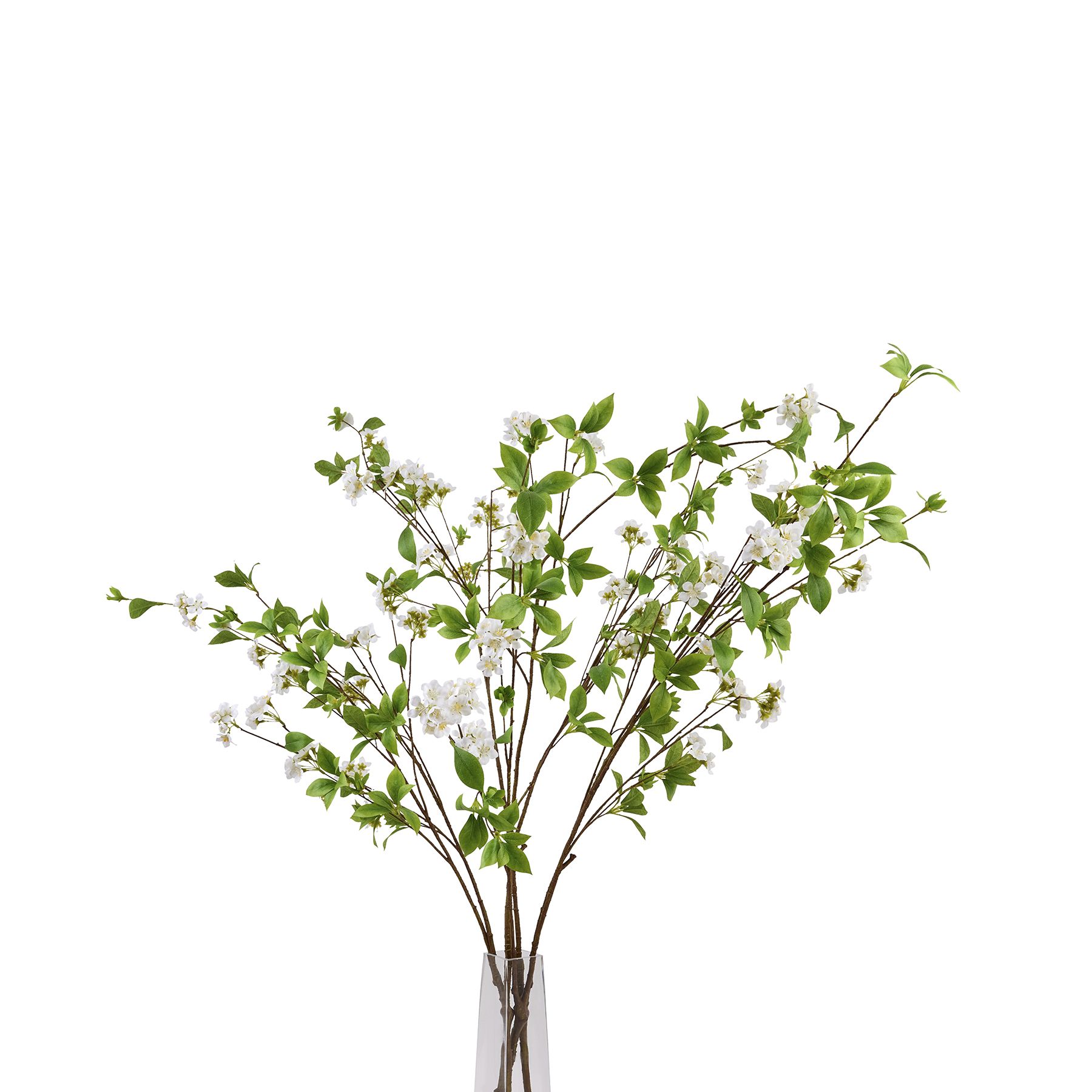 Tall Mock Orange Spray - Image 5