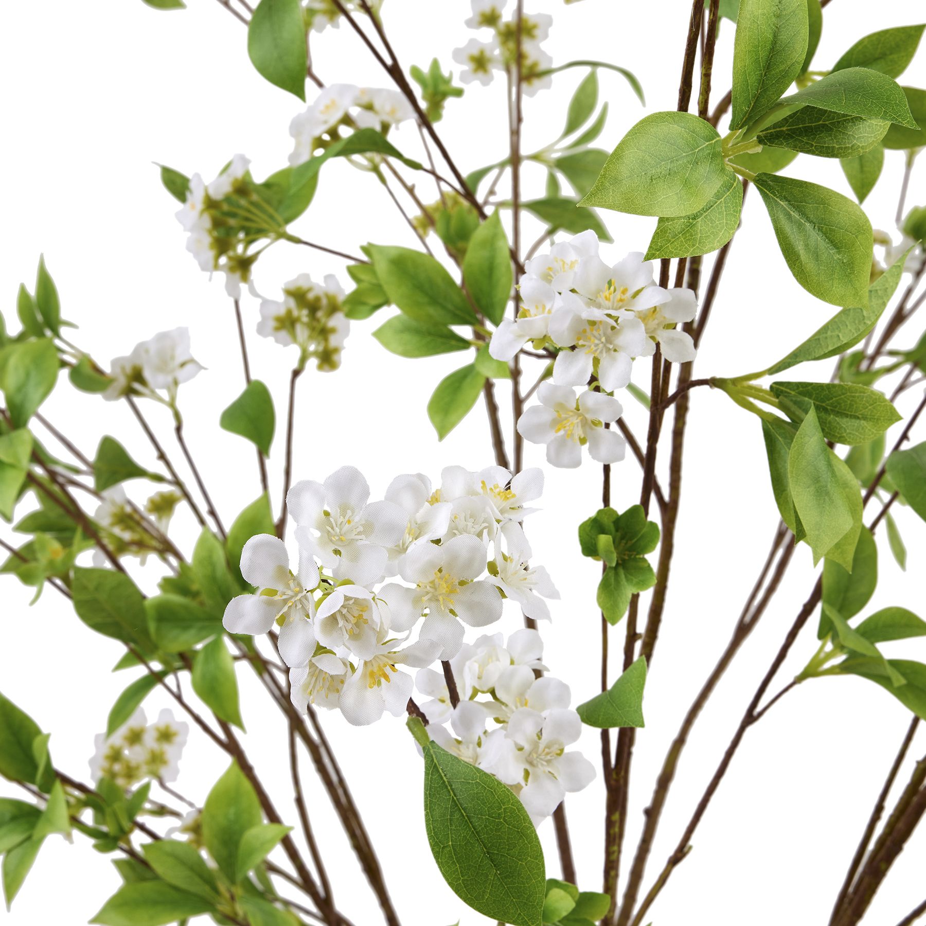 Tall Mock Orange Spray - Image 6