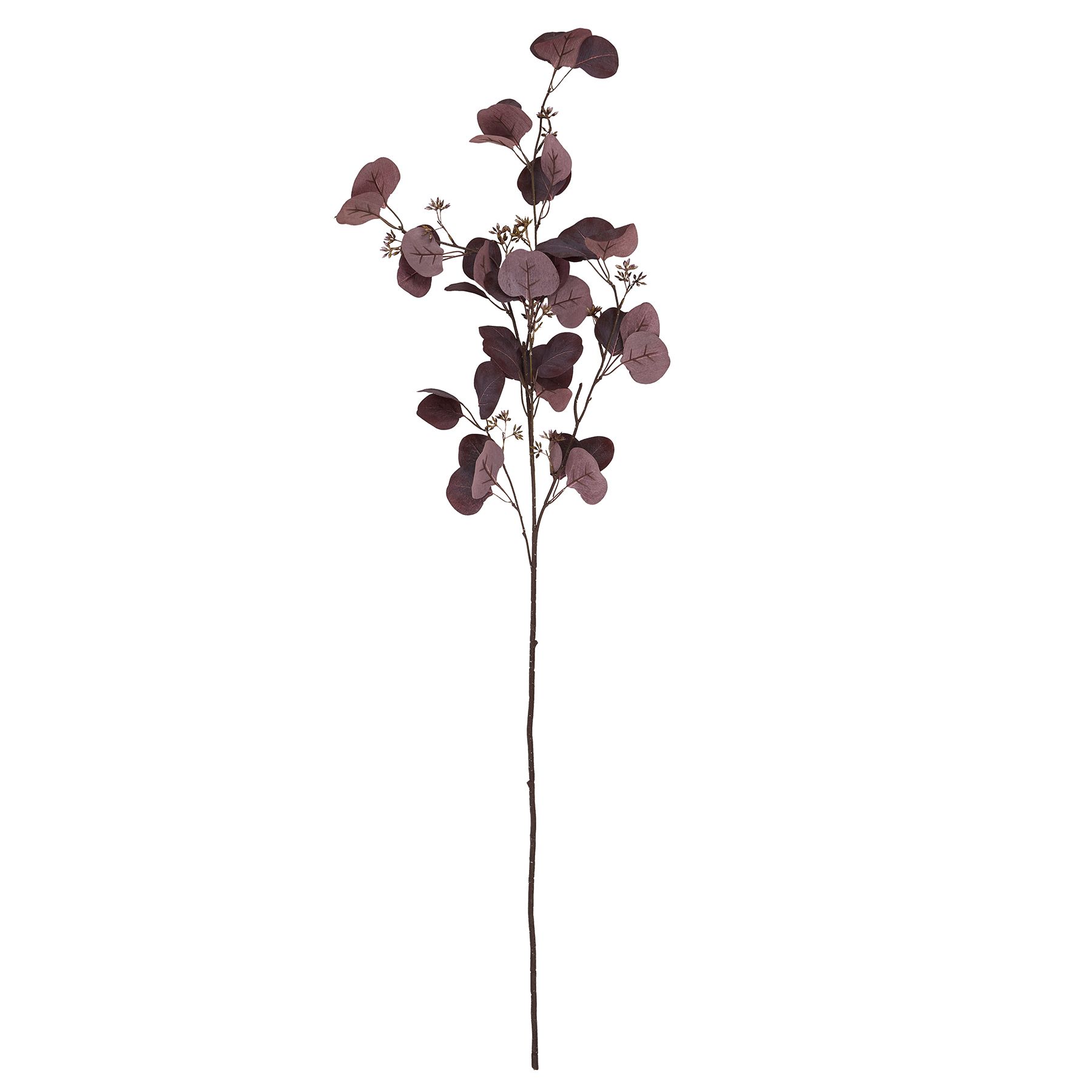 Burgundy Berried Eucalyptus - Image 4