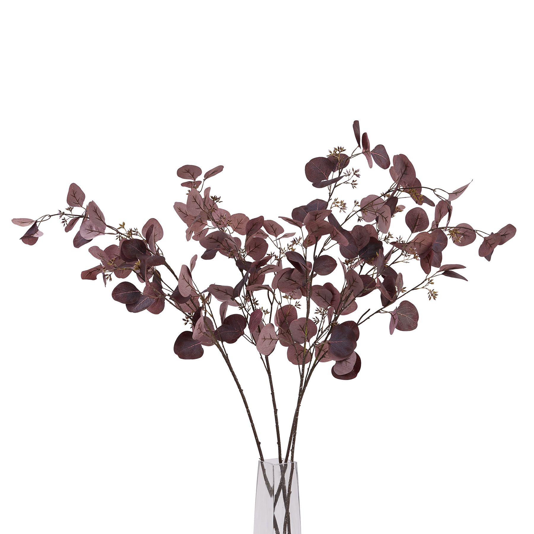 Burgundy Berried Eucalyptus - Image 5