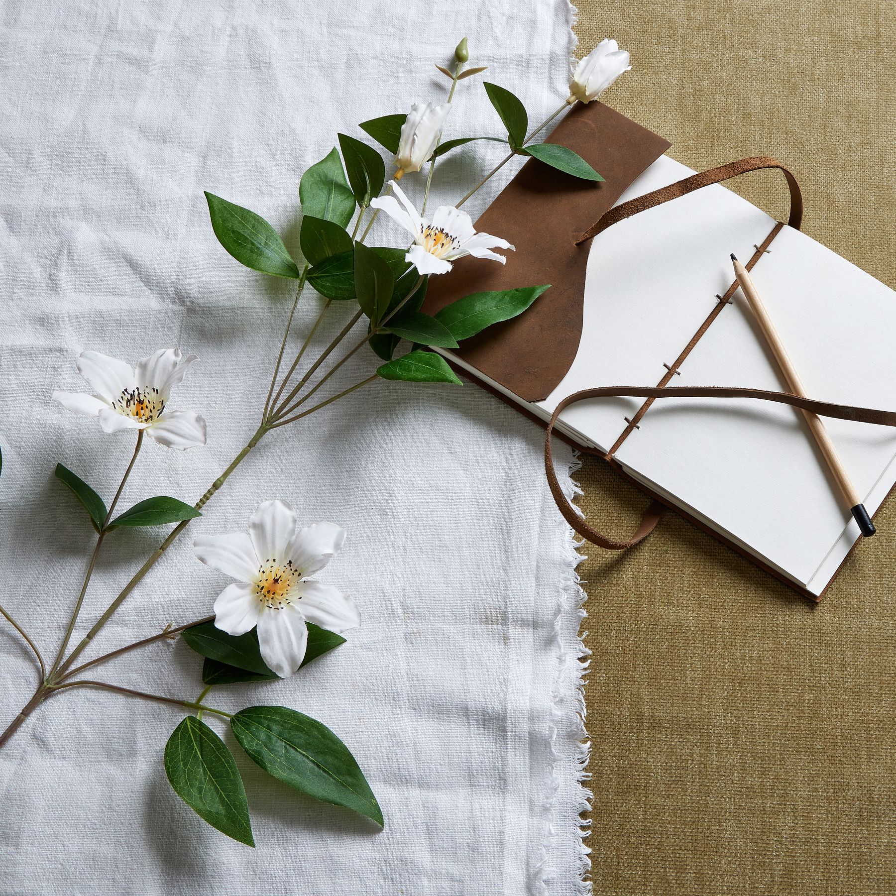 White Florida Clematis - Image 1