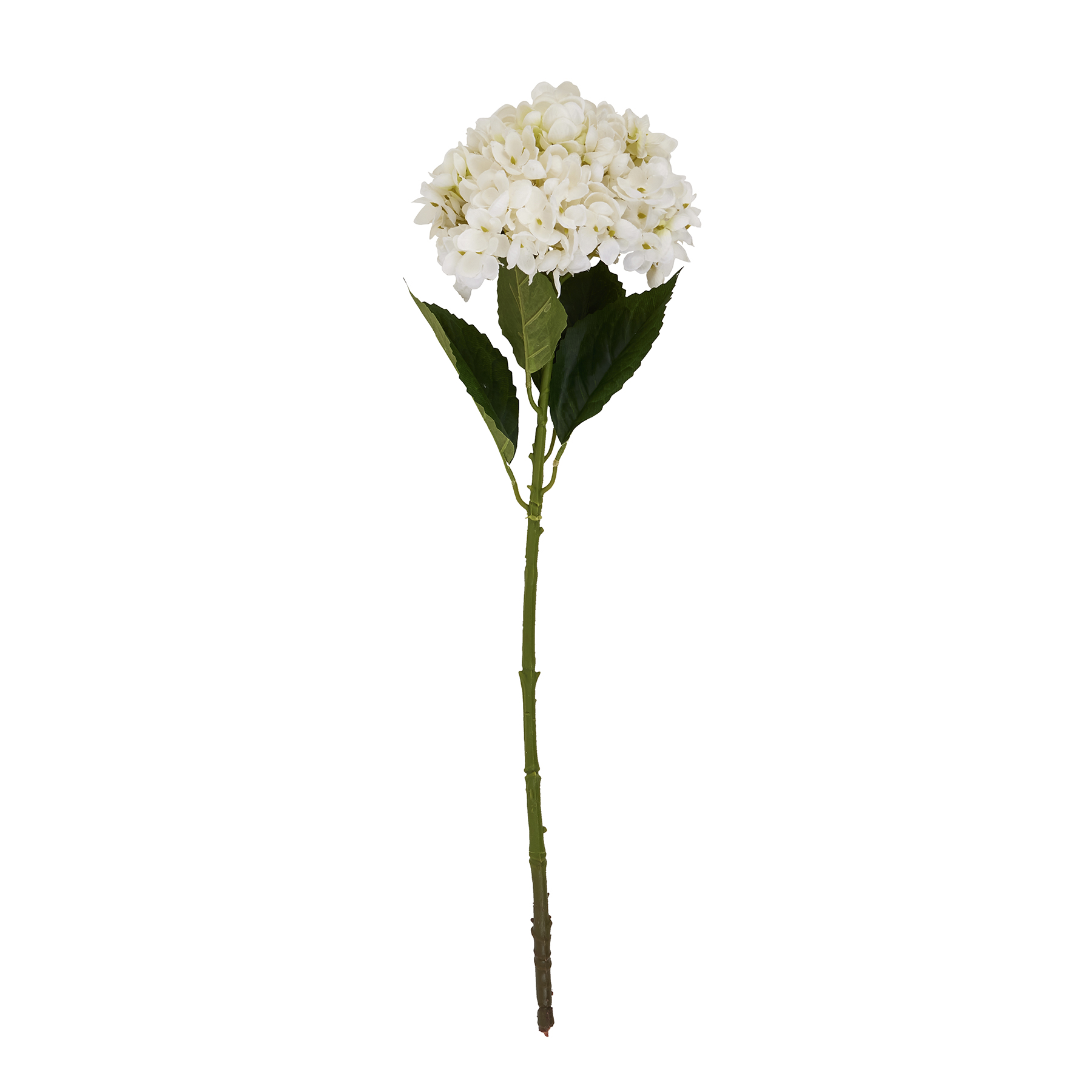 White Hydrangea Stem - Image 2