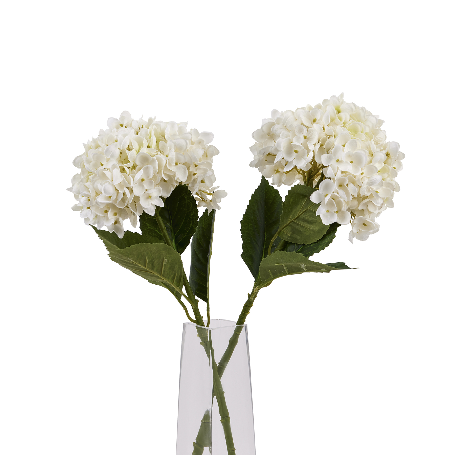 White Hydrangea Stem - Image 1