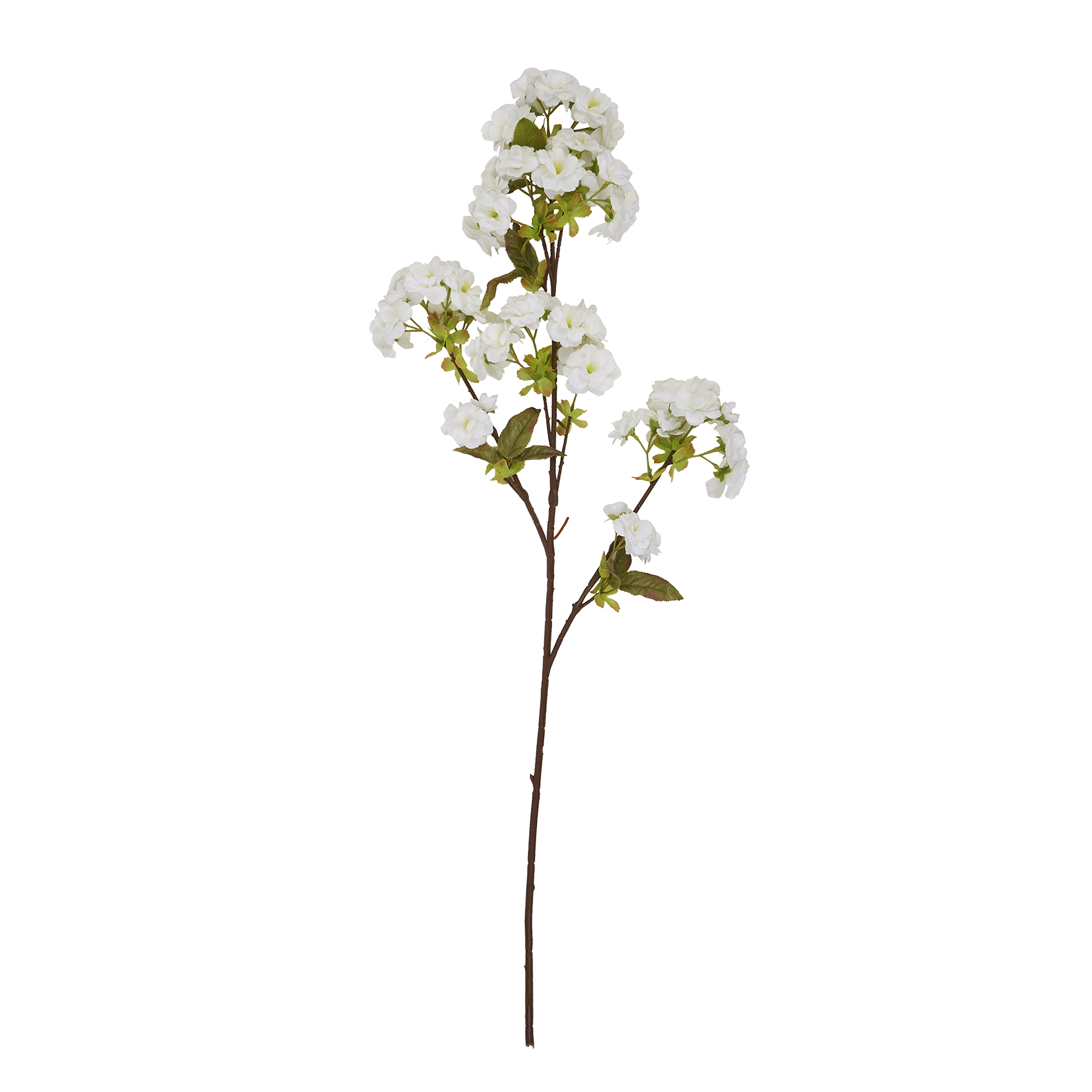 Tall White Blossom - Image 2