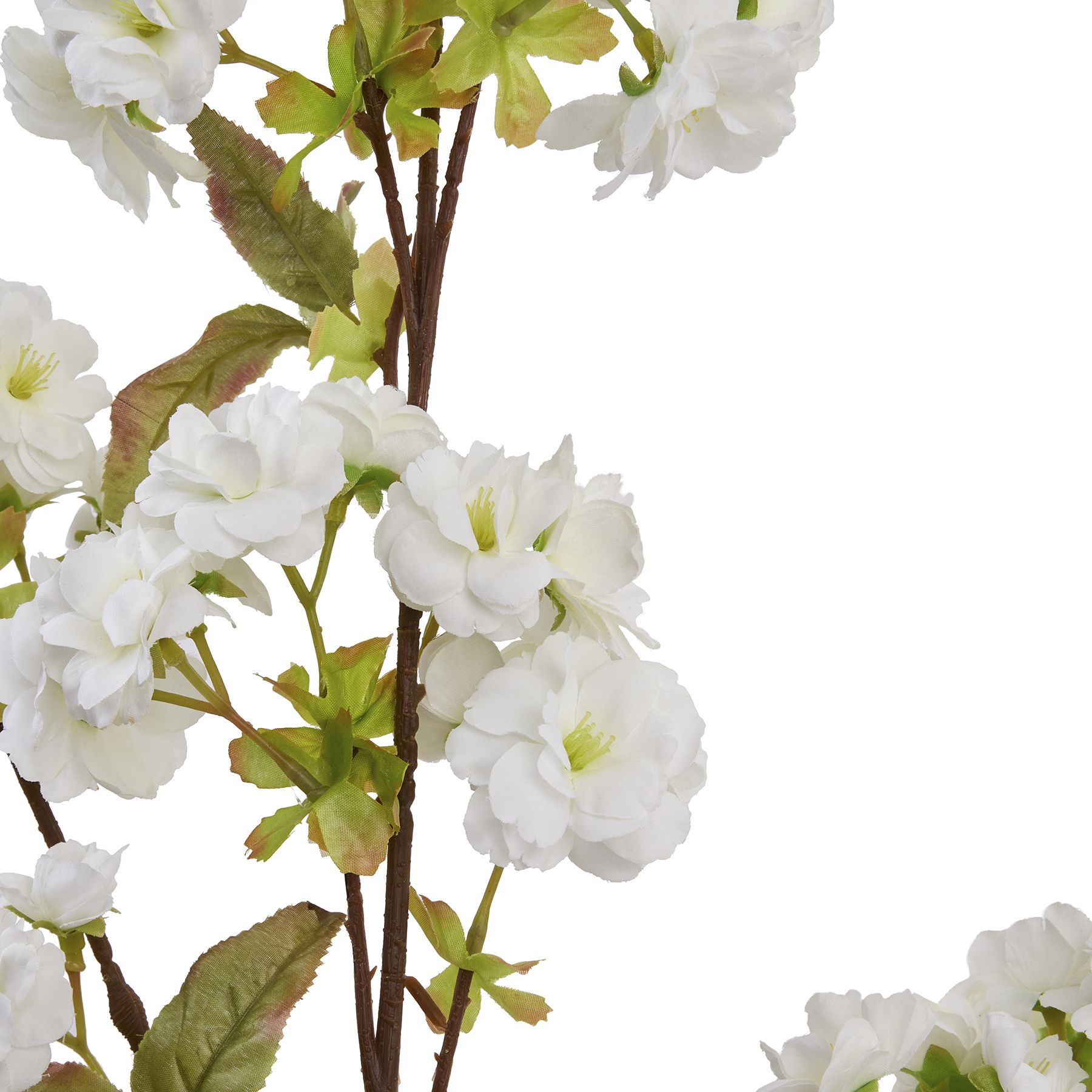Tall White Blossom - Image 6
