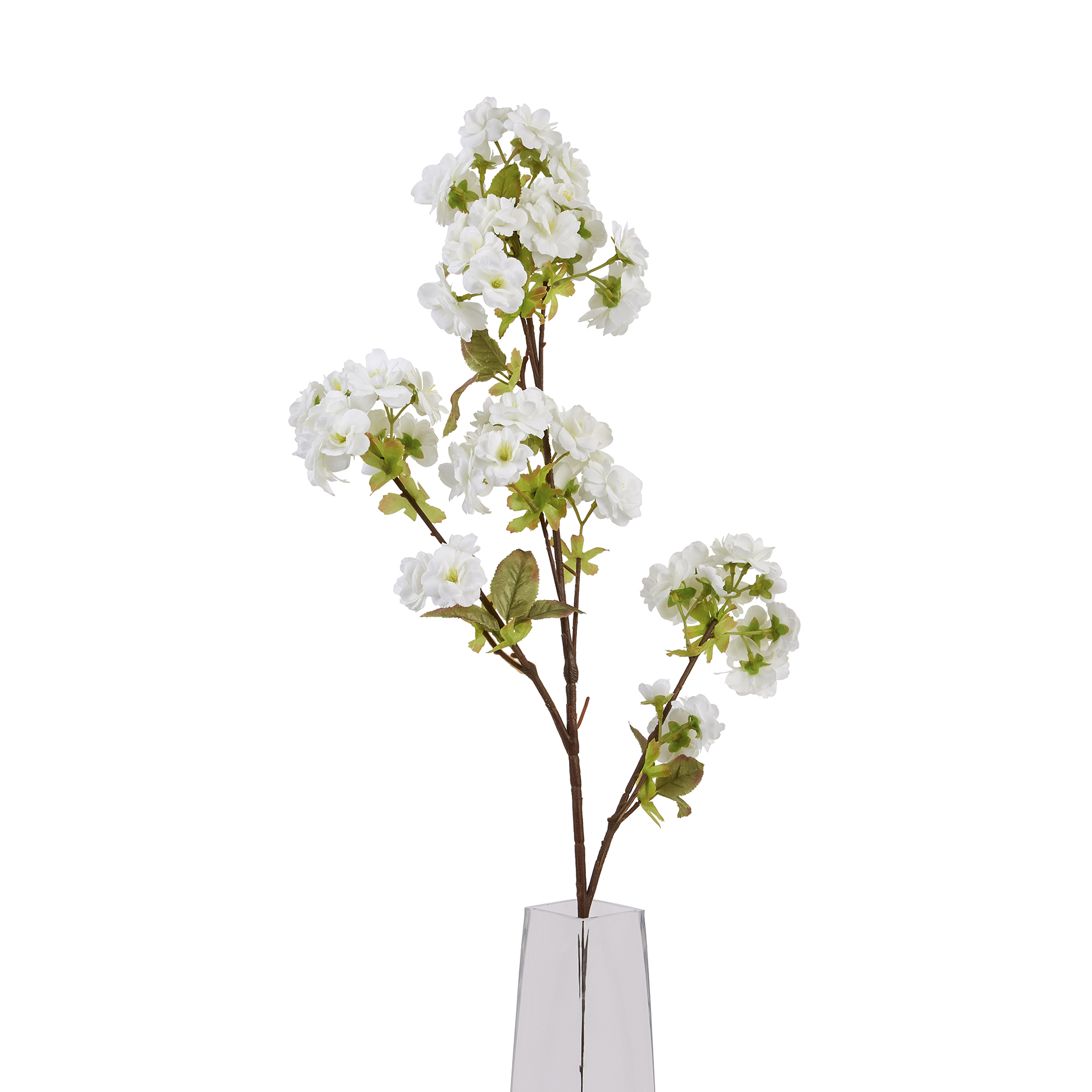 Tall White Blossom - Image 1