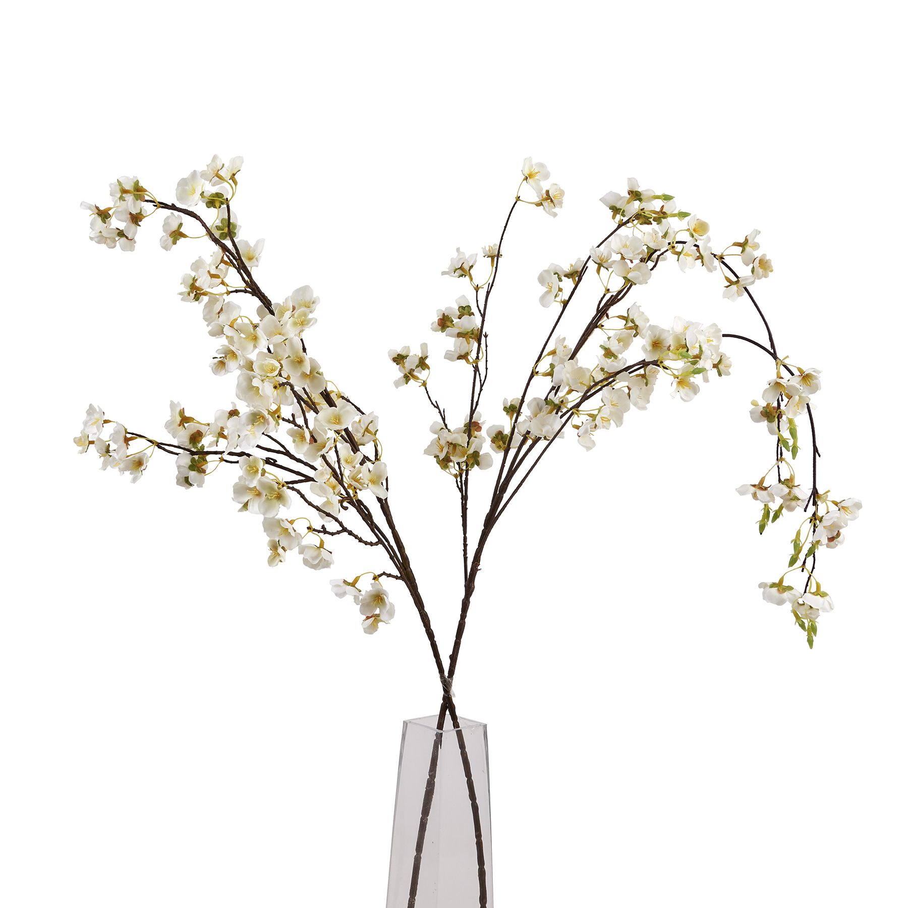 White Japanese Blossom - Image 5