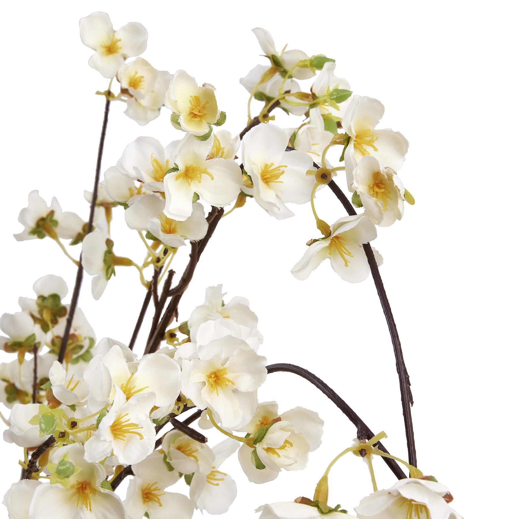 White Japanese Blossom - Image 6