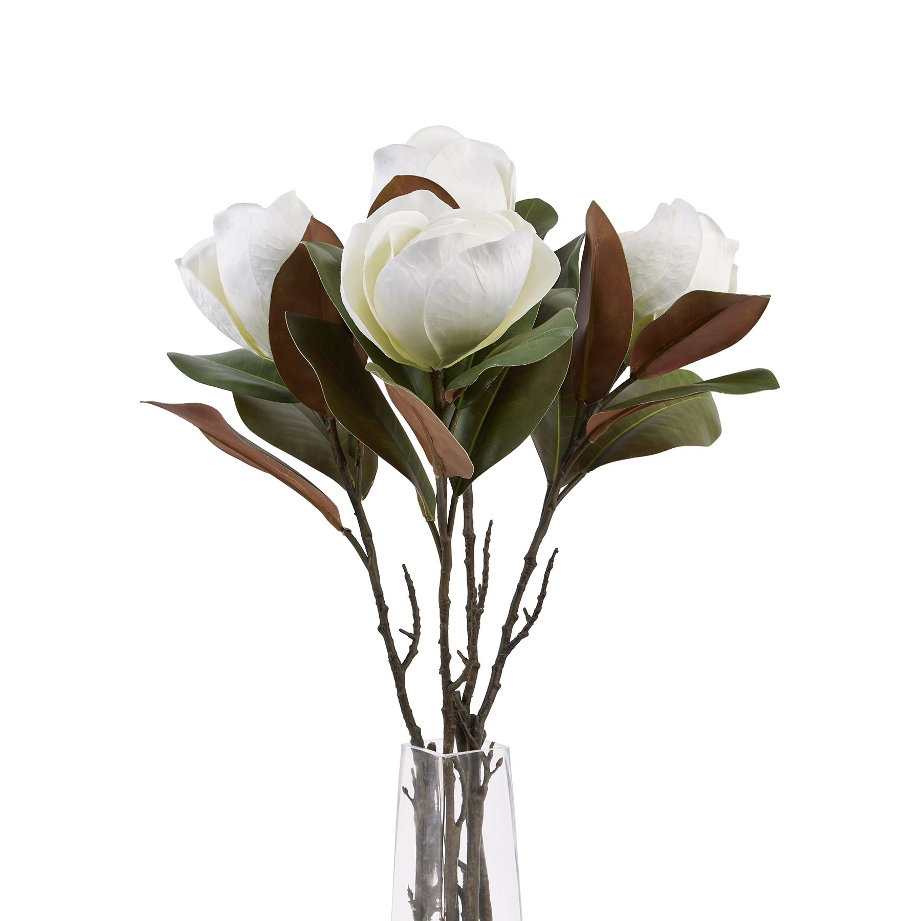 White Magnolia Stem - Image 5