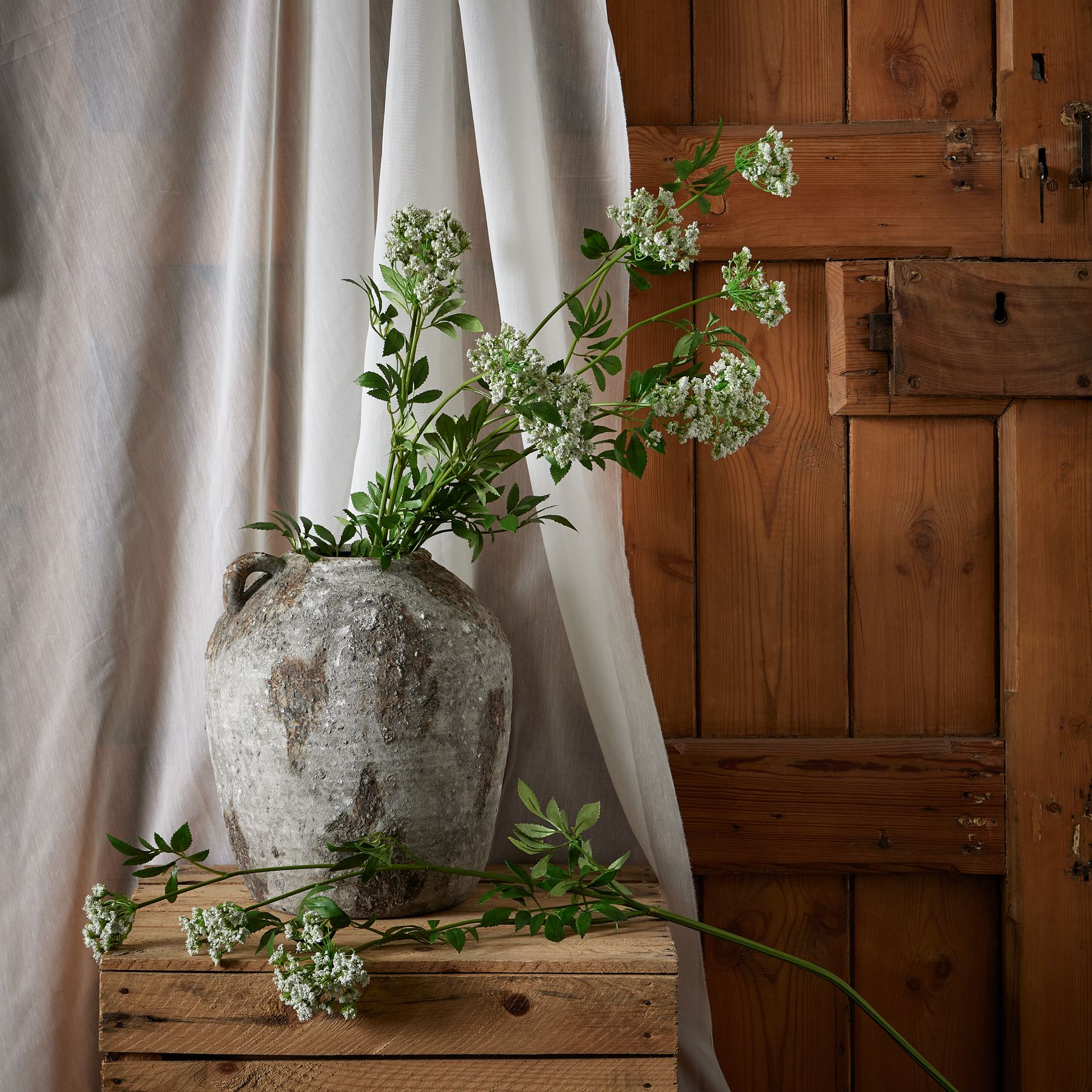 Faux White Cow Parsley Ammi - Image 3