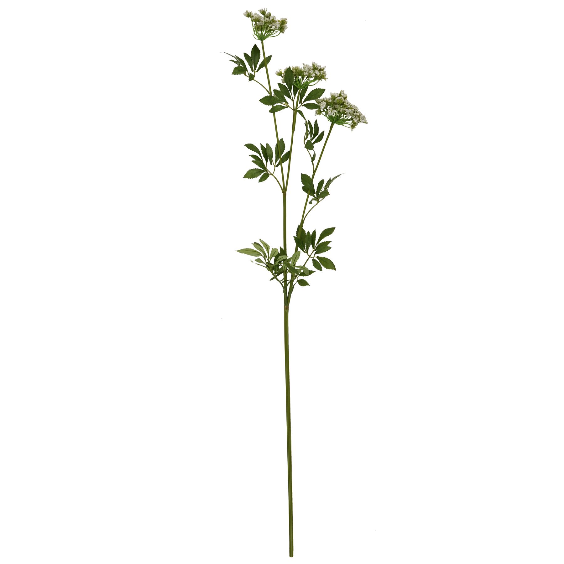Faux White Cow Parsley Ammi - Image 4