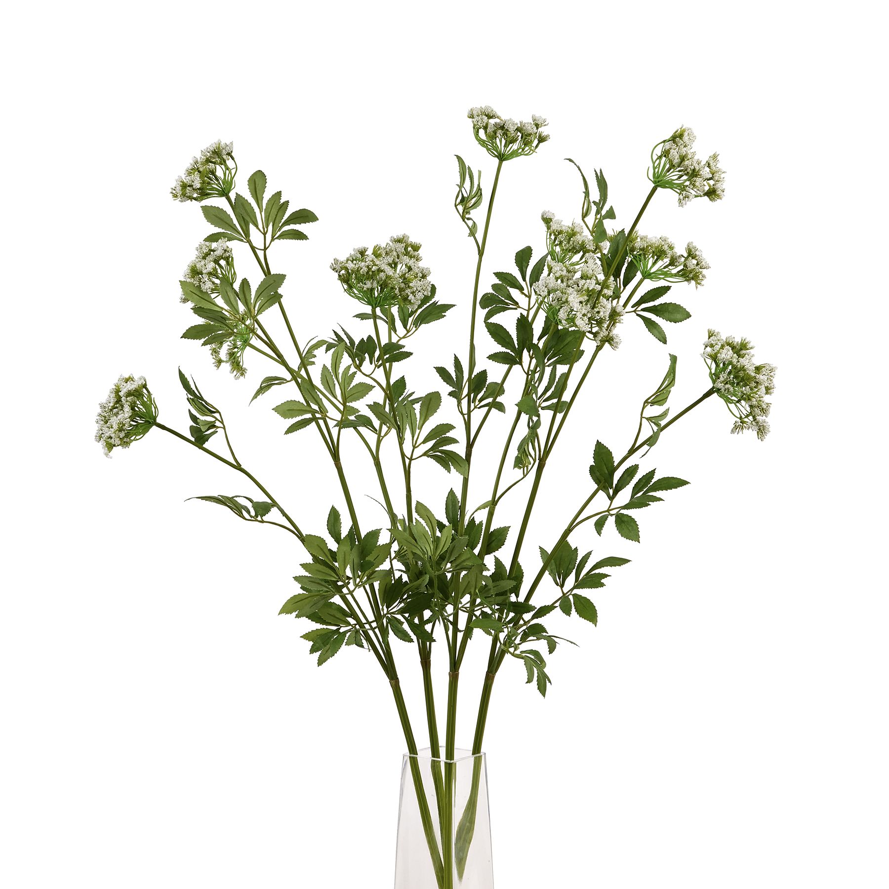 Faux White Cow Parsley Ammi - Image 5