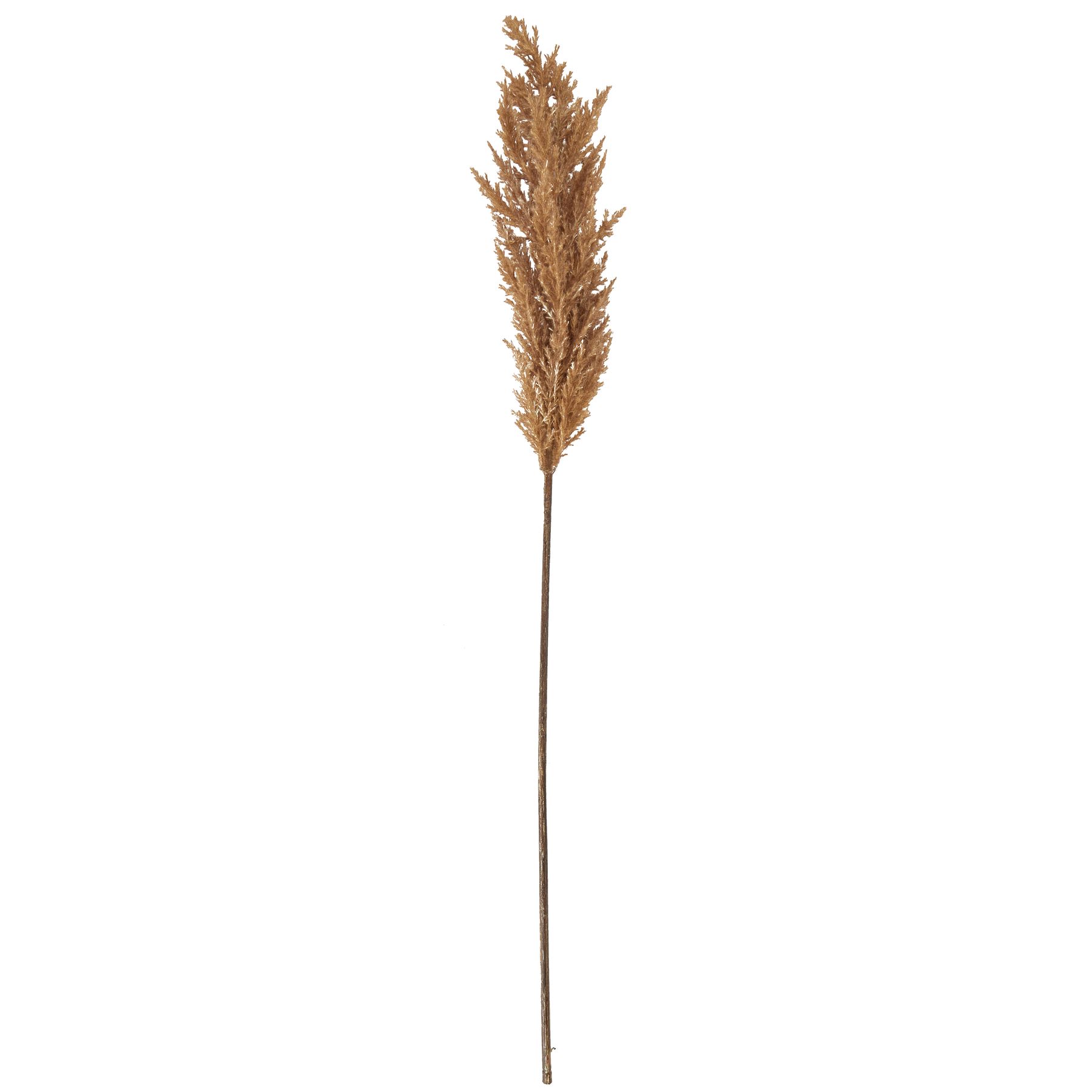 Taupe Faux Dried Pampas Grass Stem - Image 4