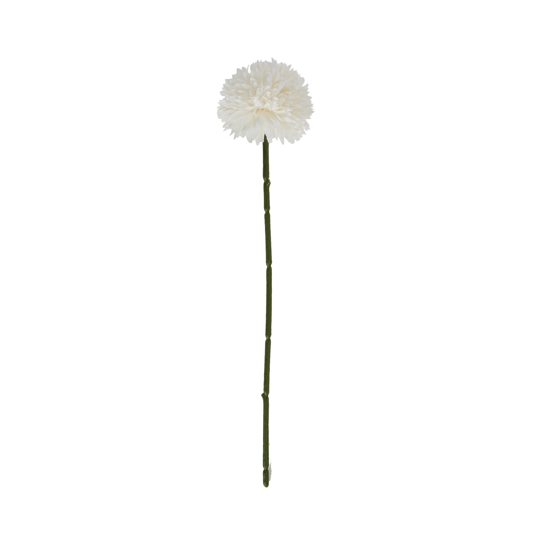 White Chrysanthemum Stem - Image 4