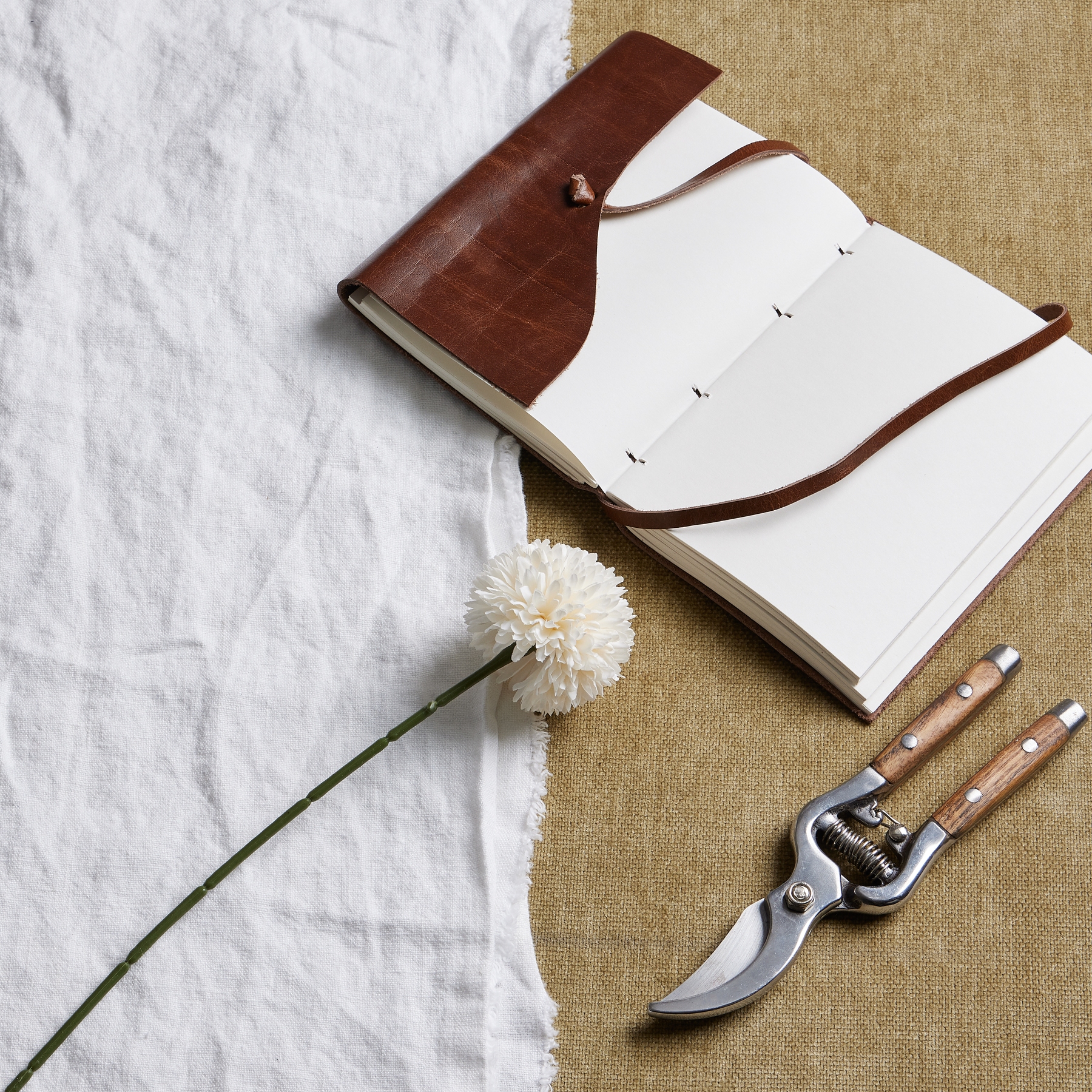 White Chrysanthemum Stem - Image 1