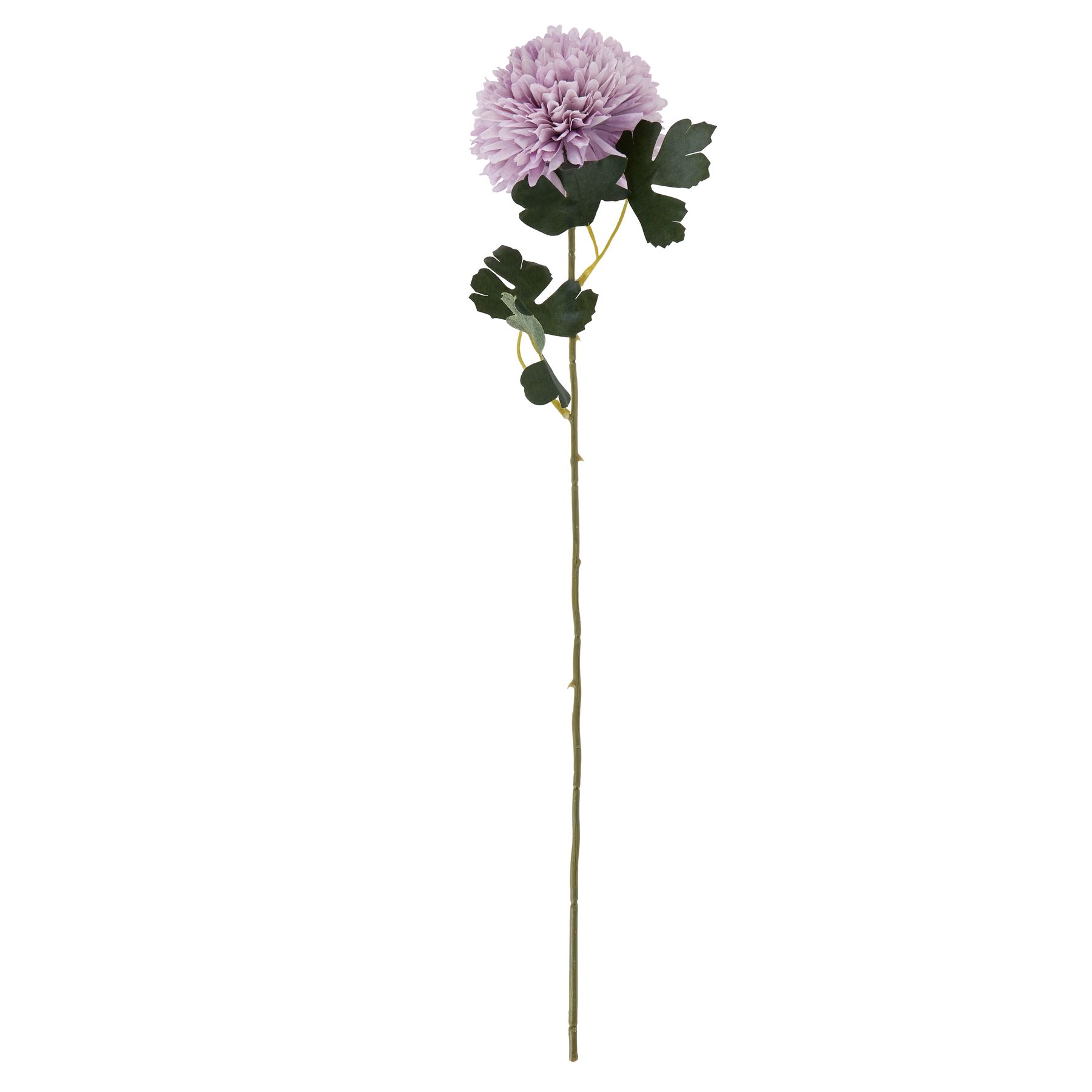 Light Purple Chrysanthemum - Image 4