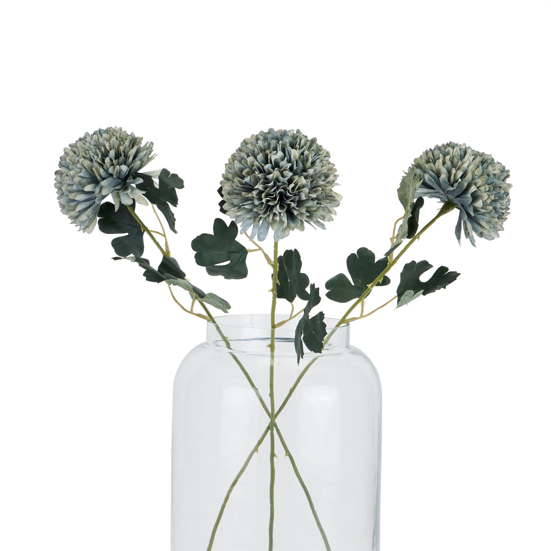 Pale Green Blue Chrysanthemum - Image 5