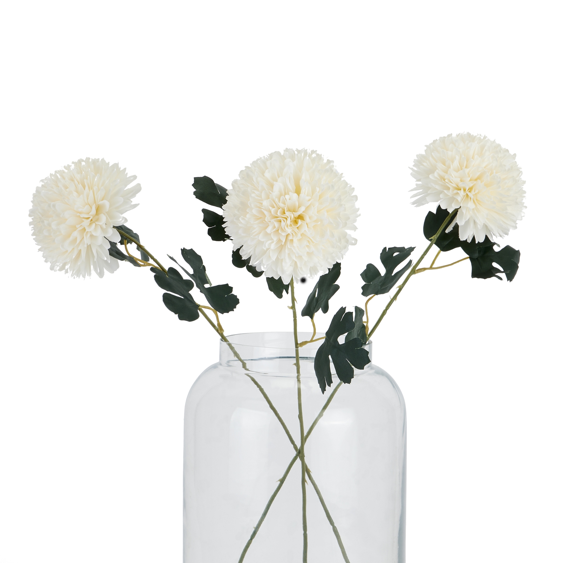 White Short Chrysanthemum - Image 5