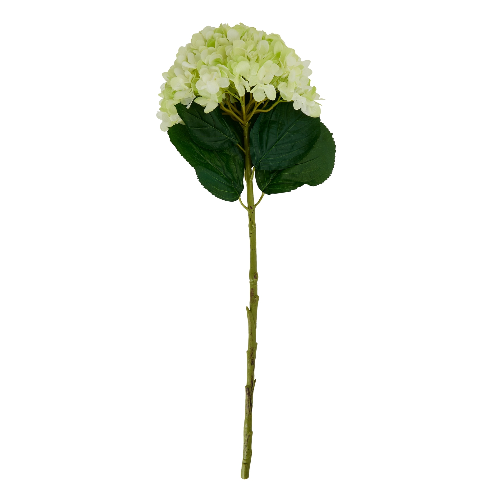 Oversized Green Hydrangea - Image 6