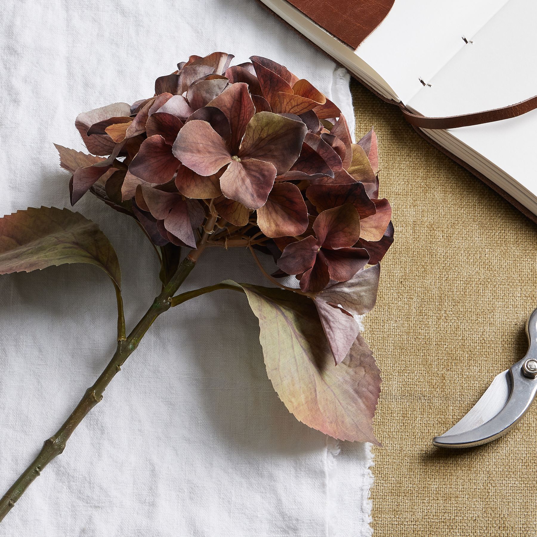 Mixed Autumn Browns Single Hydrangea Stem - Image 2