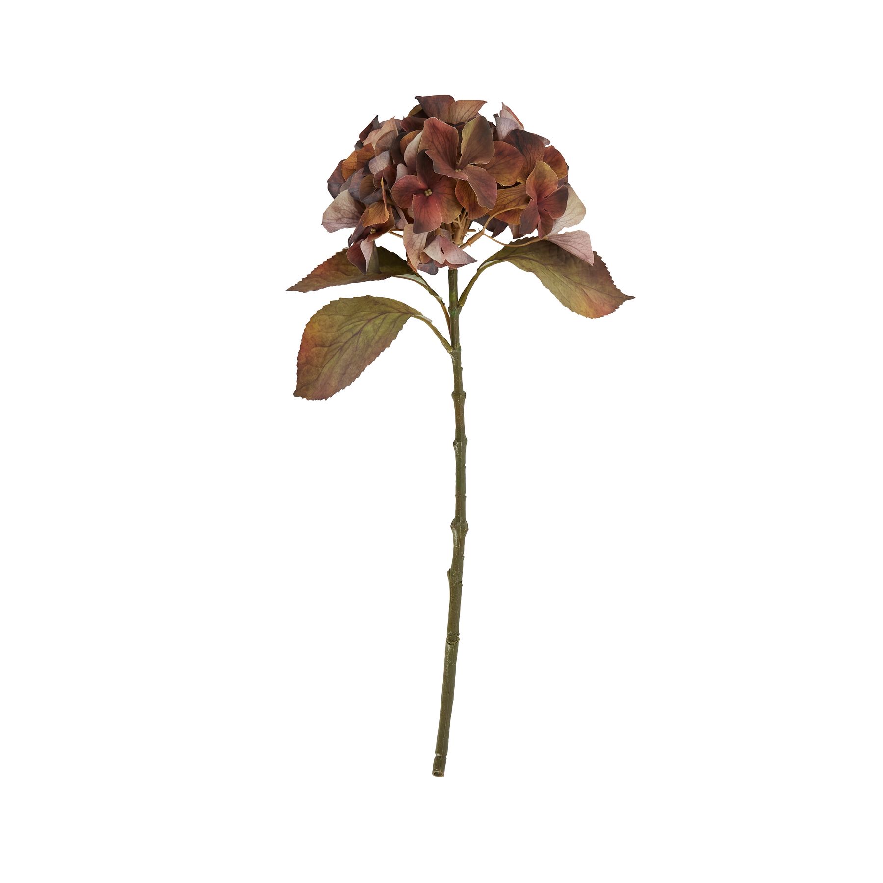 Mixed Autumn Browns Single Hydrangea Stem - Image 4