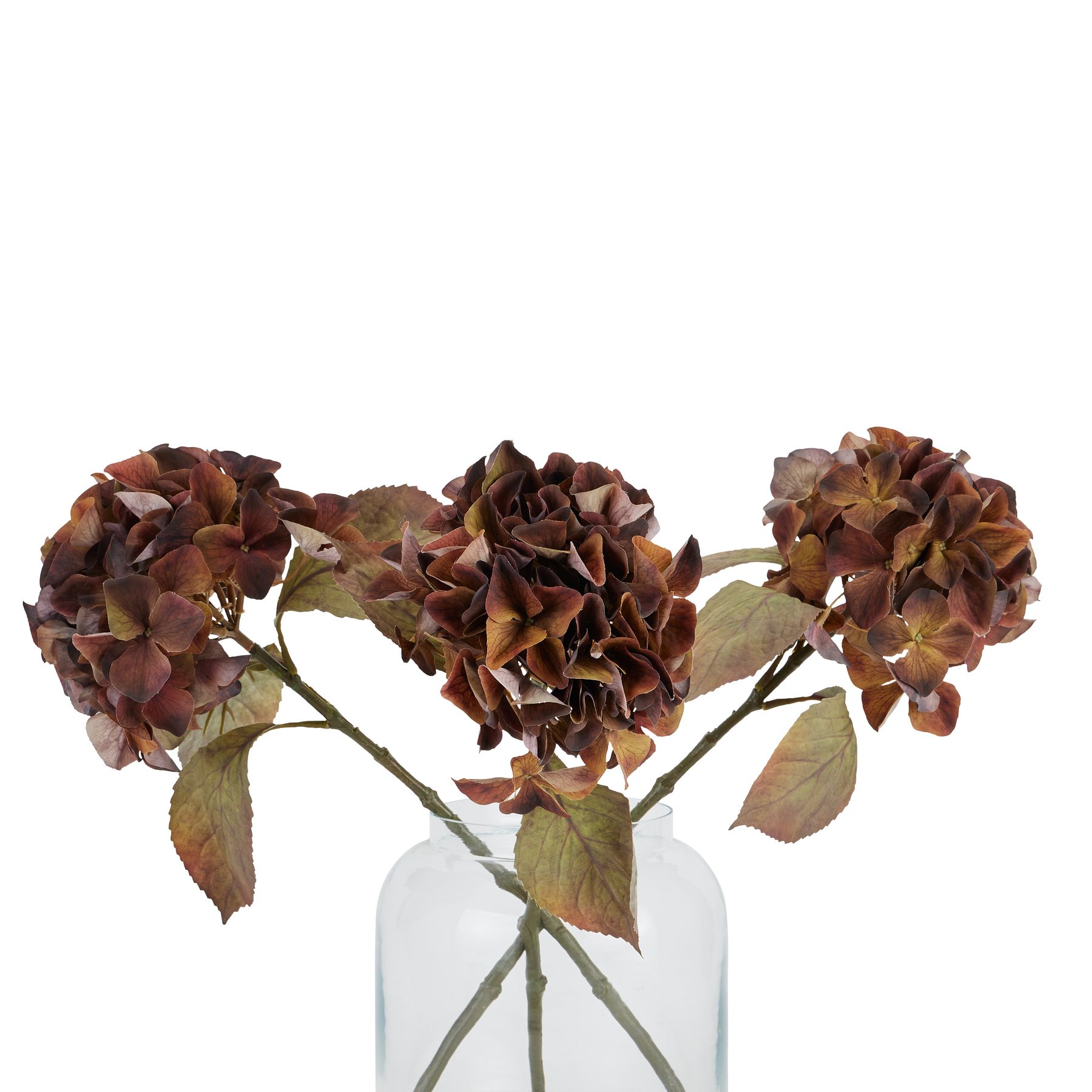 Mixed Autumn Browns Single Hydrangea Stem - Image 5